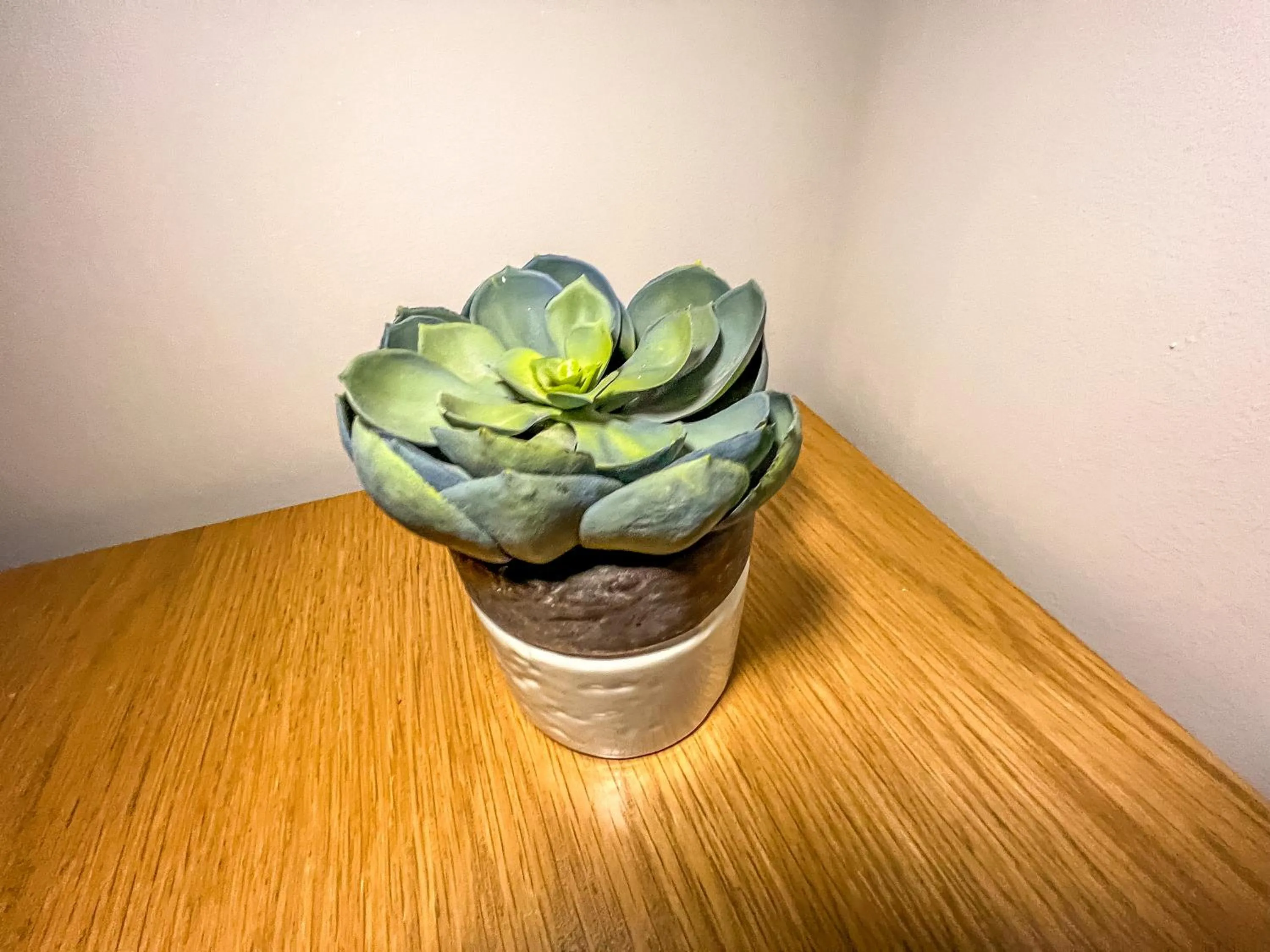 Decorative detail in County Hall Apartment Hotel