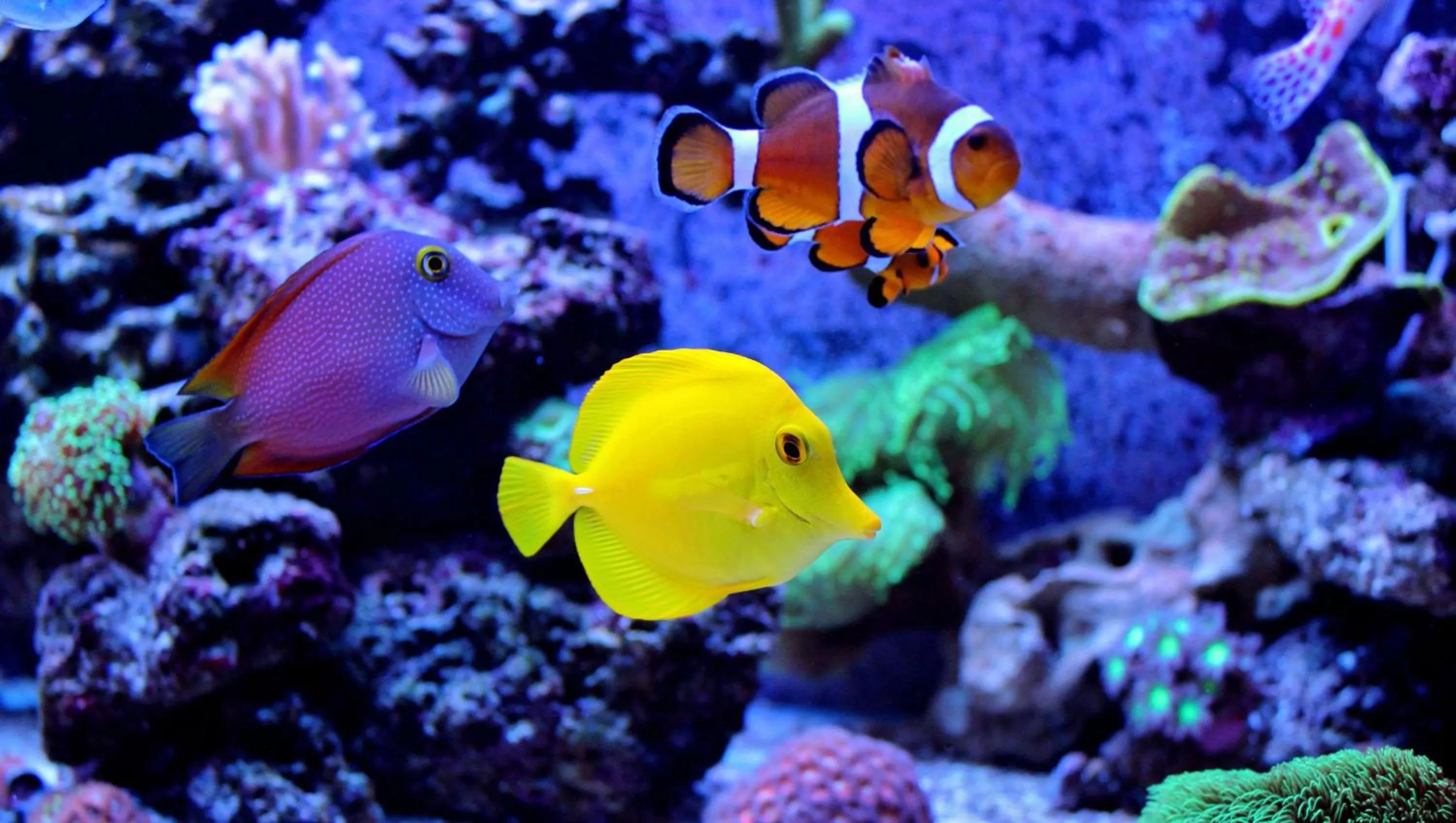 Nearby landmark in Belleair Beach Resort Motel