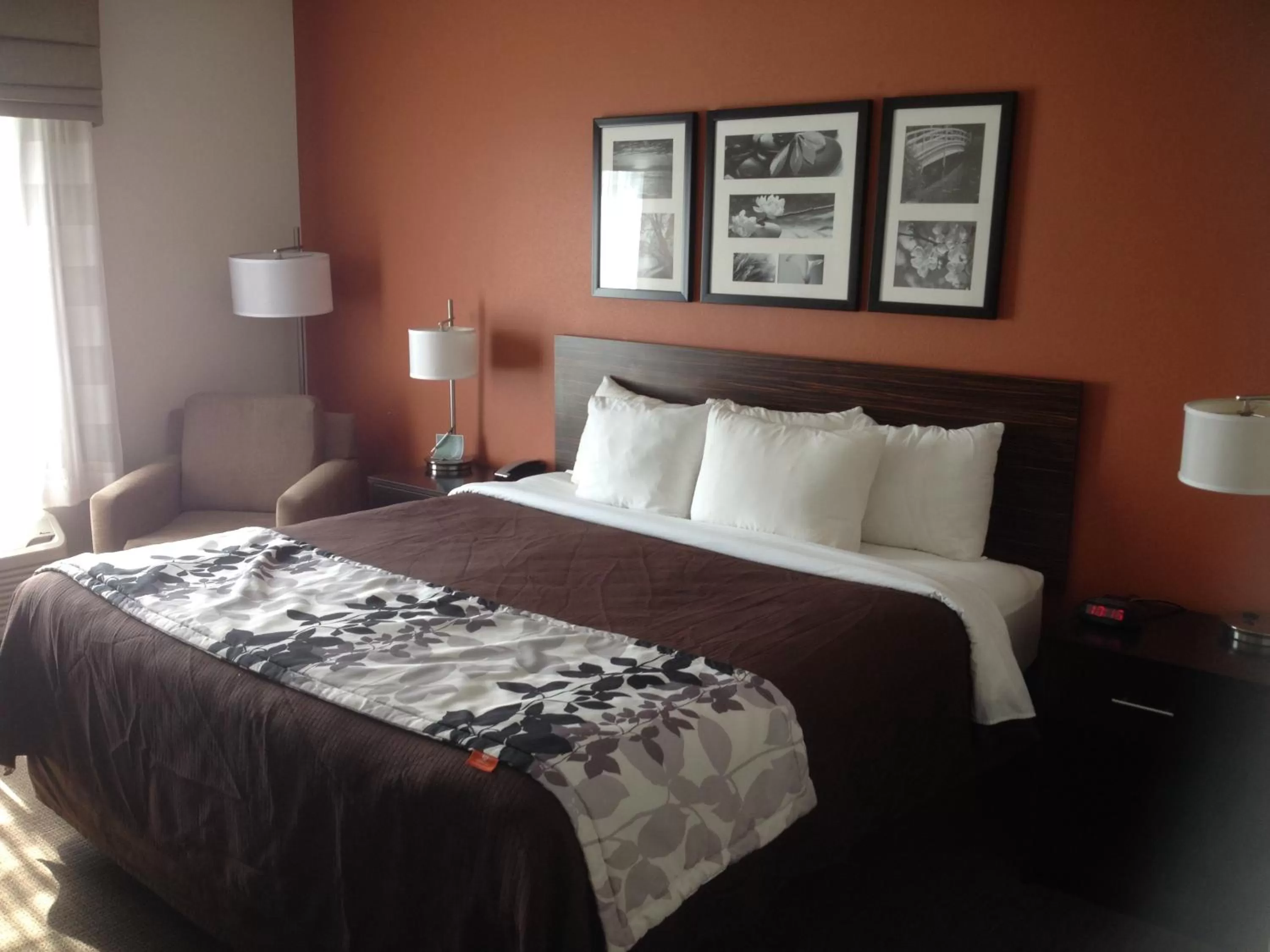 King Room with Roll-In Shower - Accessible/Non-Smoking in Sleep Inn & Suites Elk City