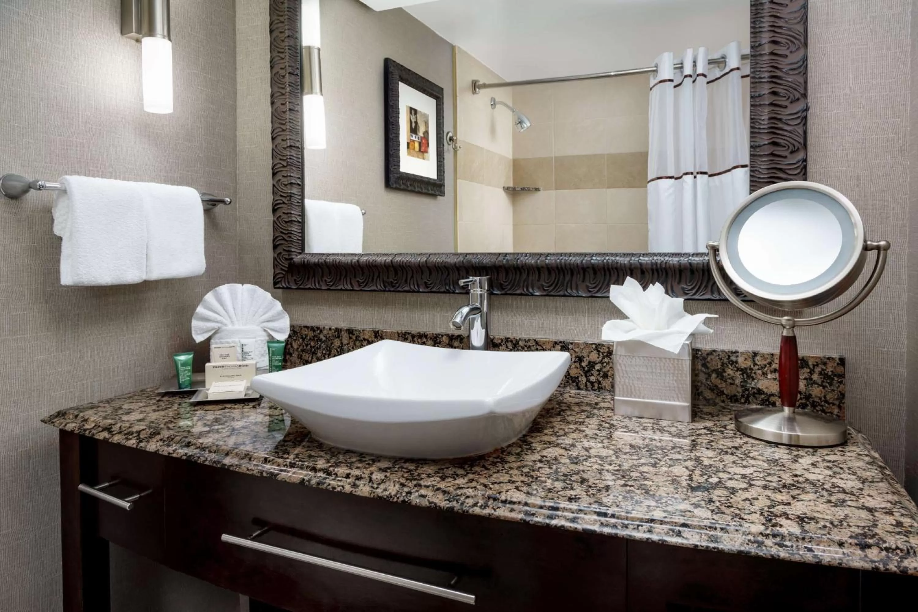 Bathroom in Hilton Charlotte University Place