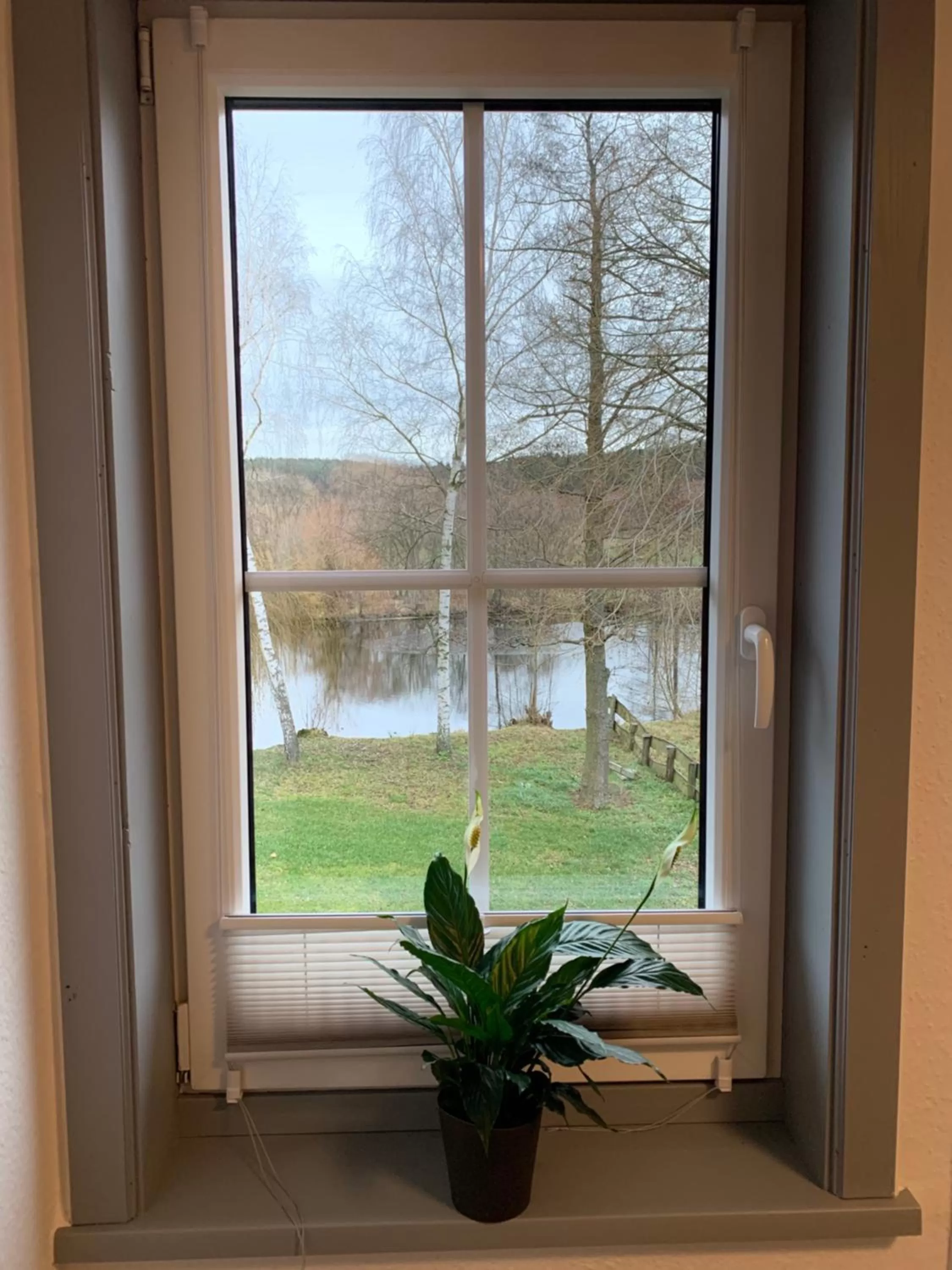 Garden view in Landgasthof Wetteraperle