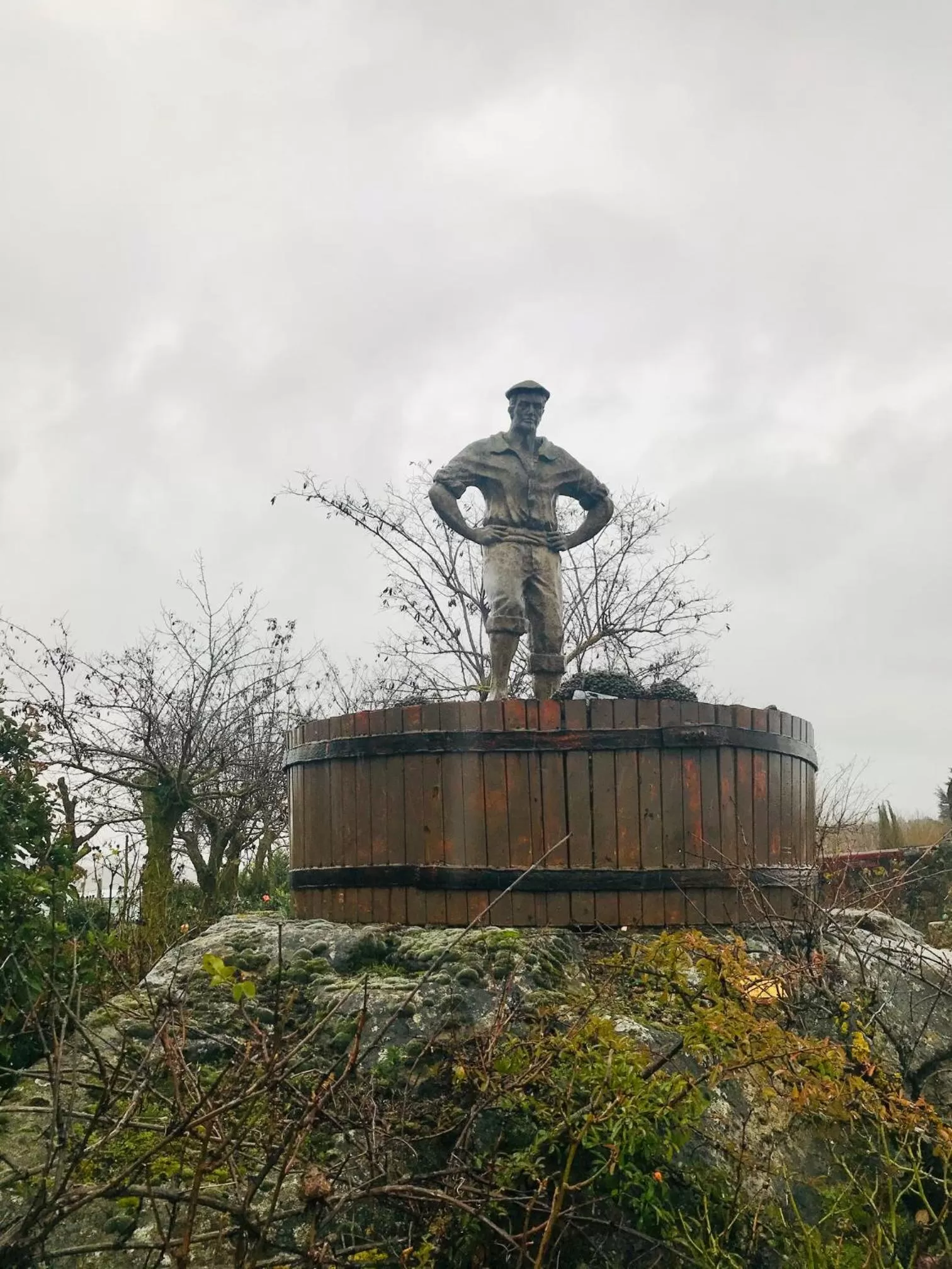 Garden view in Portal De La Rioja