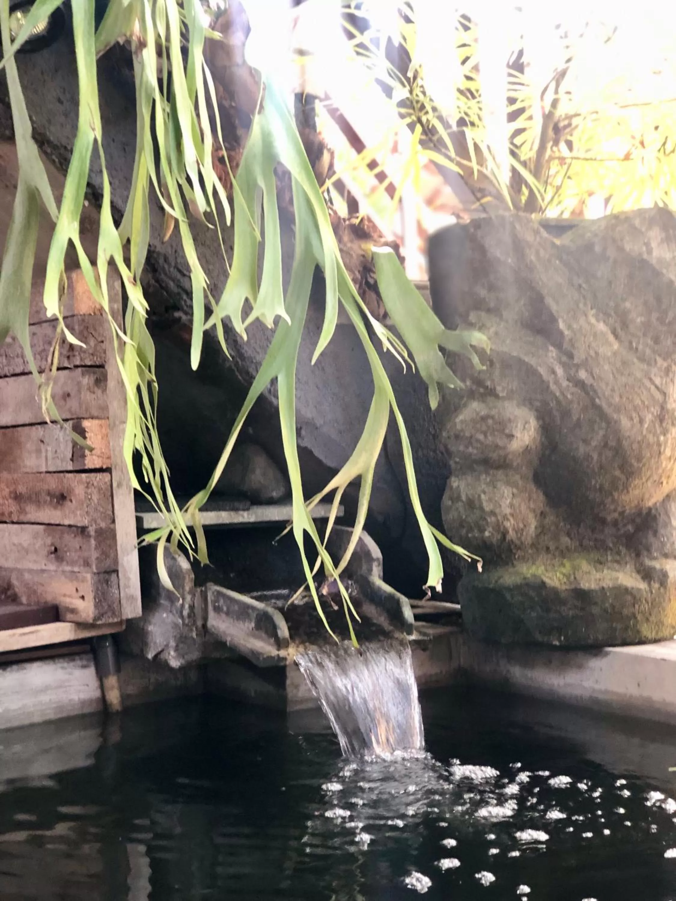 Natural landscape in The Hidden Bali Inn