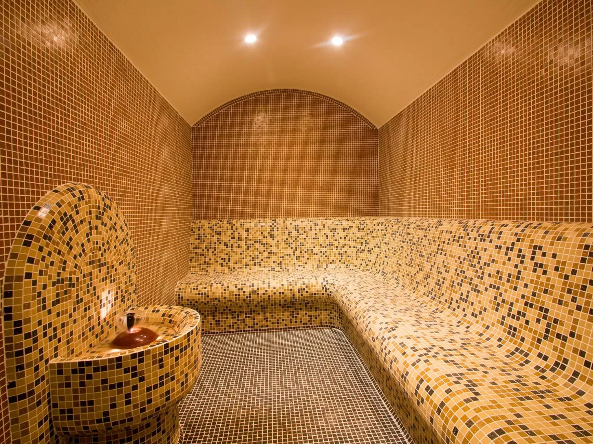 Steam room in Park Hotel Asenevtsi