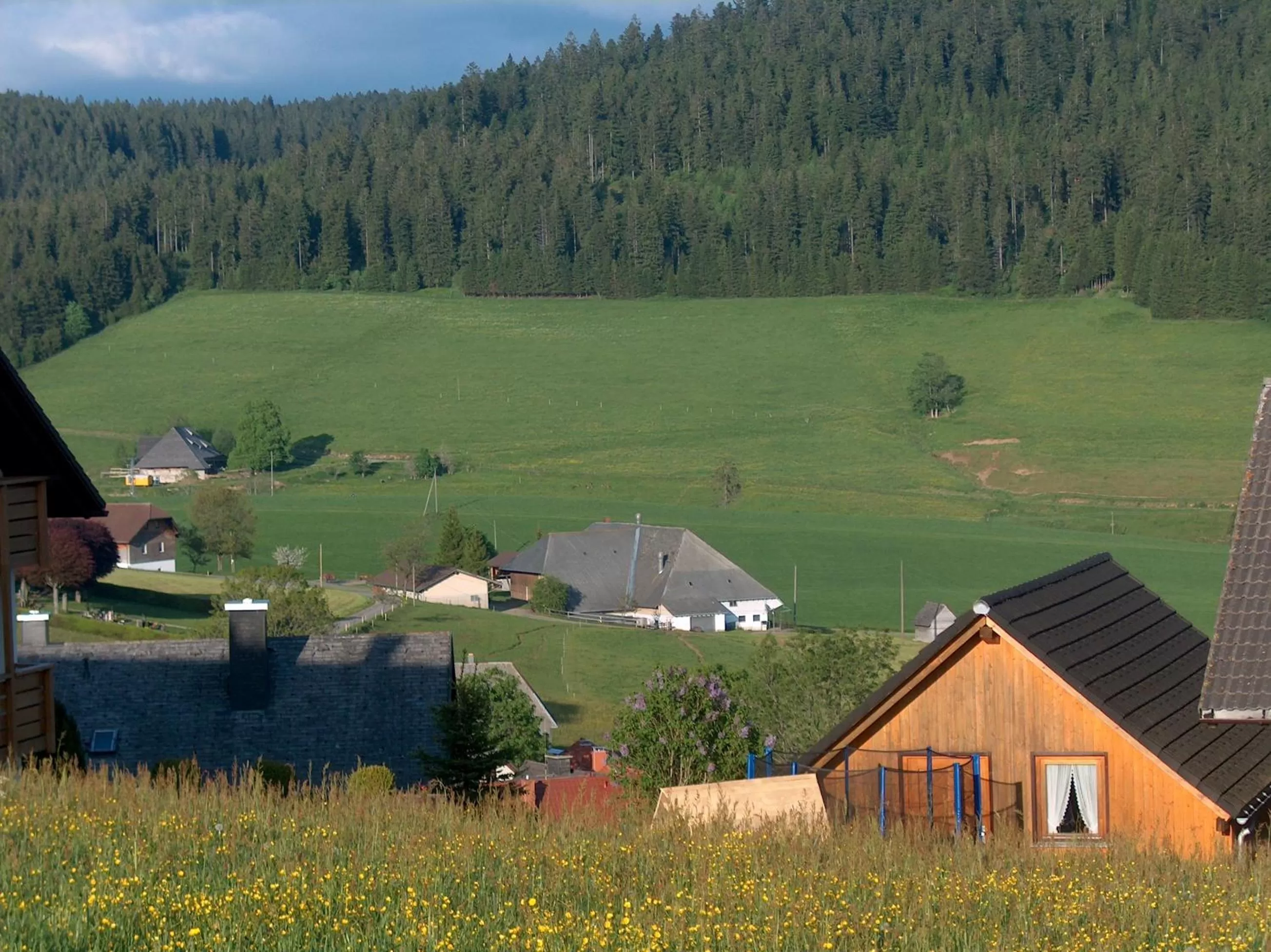 Natural landscape in ZUR TRAUBE Schwarzwaldhotel & Restaurant am Titisee