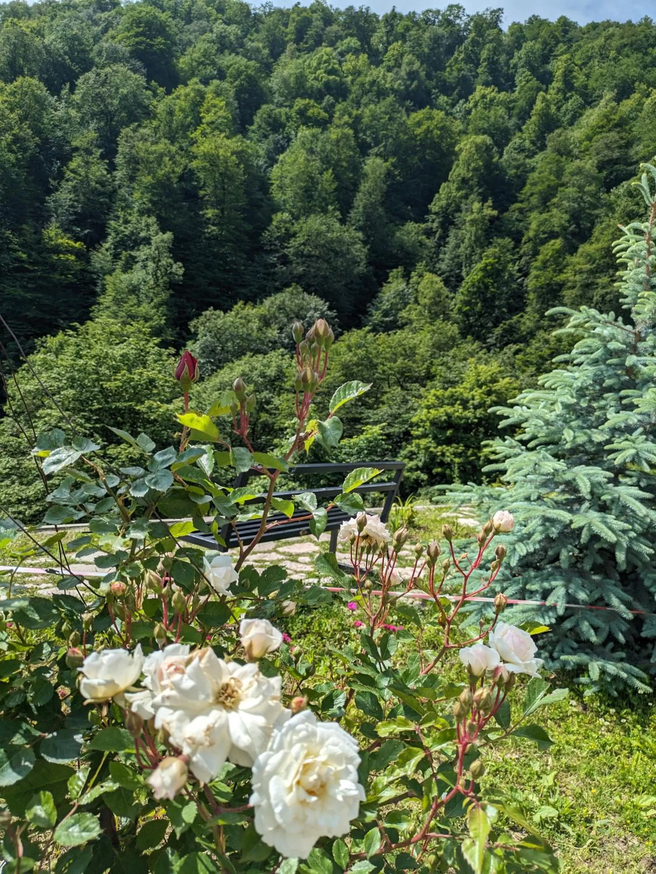 Spring in Vanatun Monastery Stay