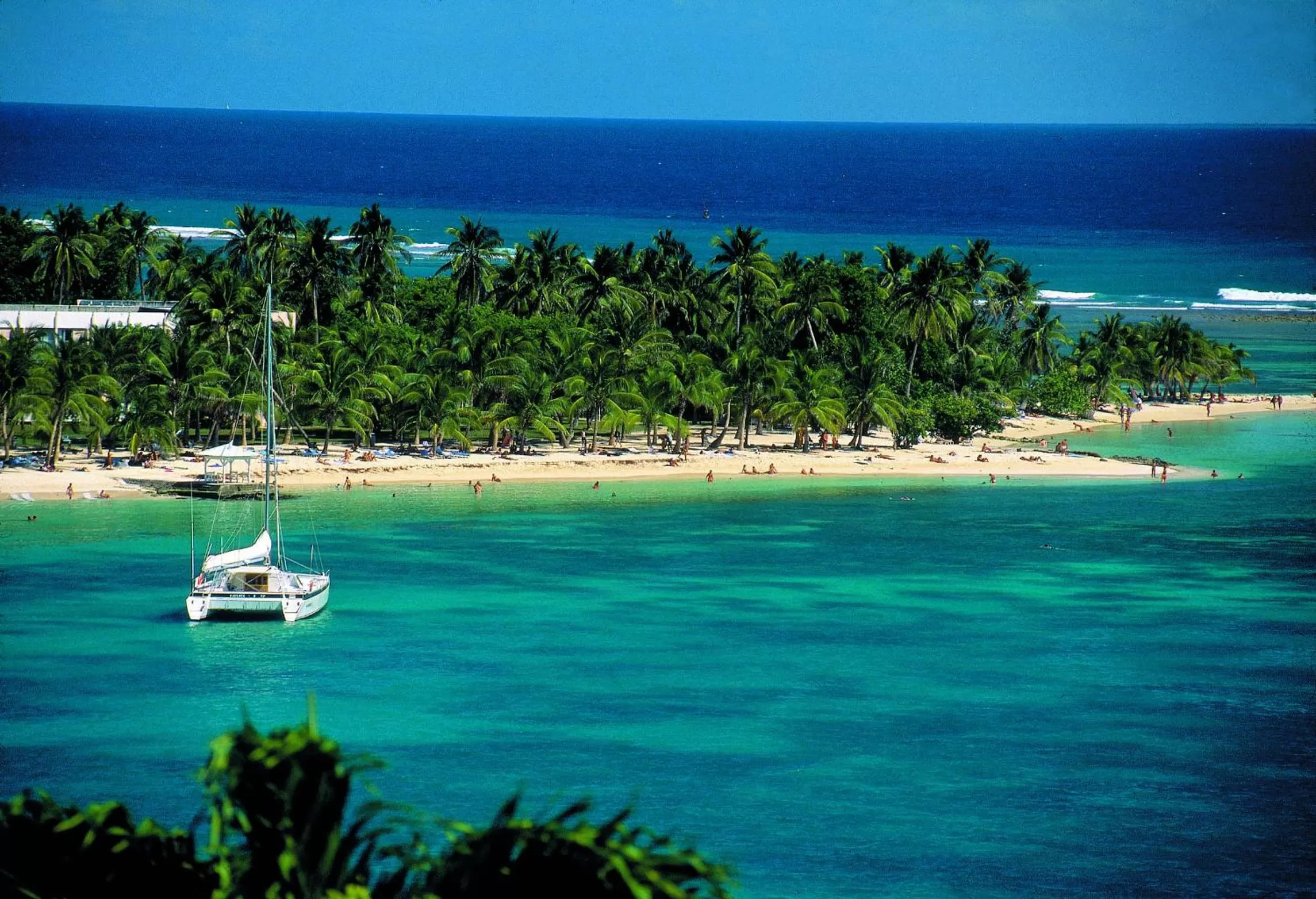 Natural landscape in Résidence Le Vallon Guadeloupe Parc Piscine Appartements & Studios