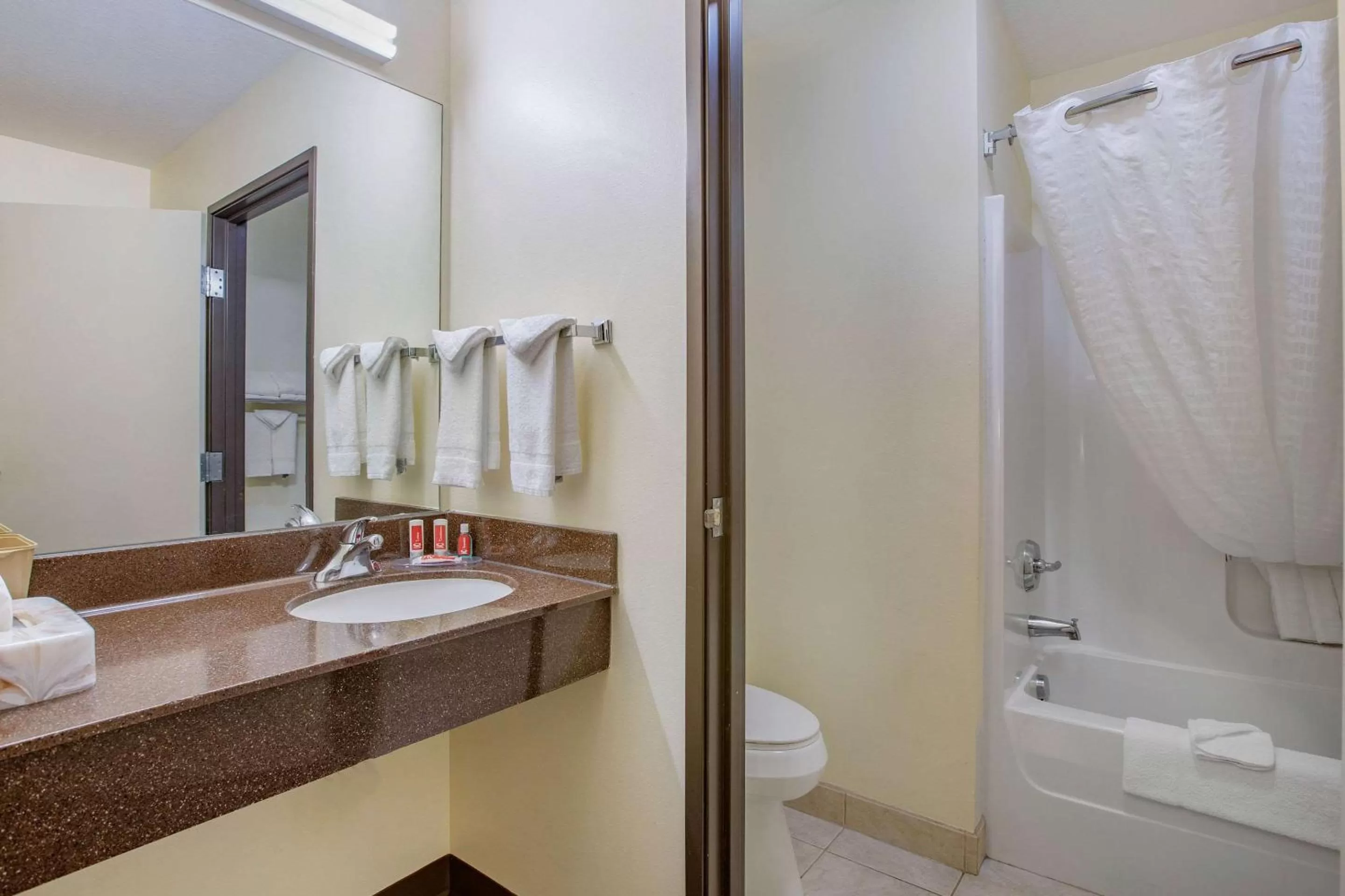 Bathroom in Econo Lodge Inn & Suites Des Moines Fairgrounds Area