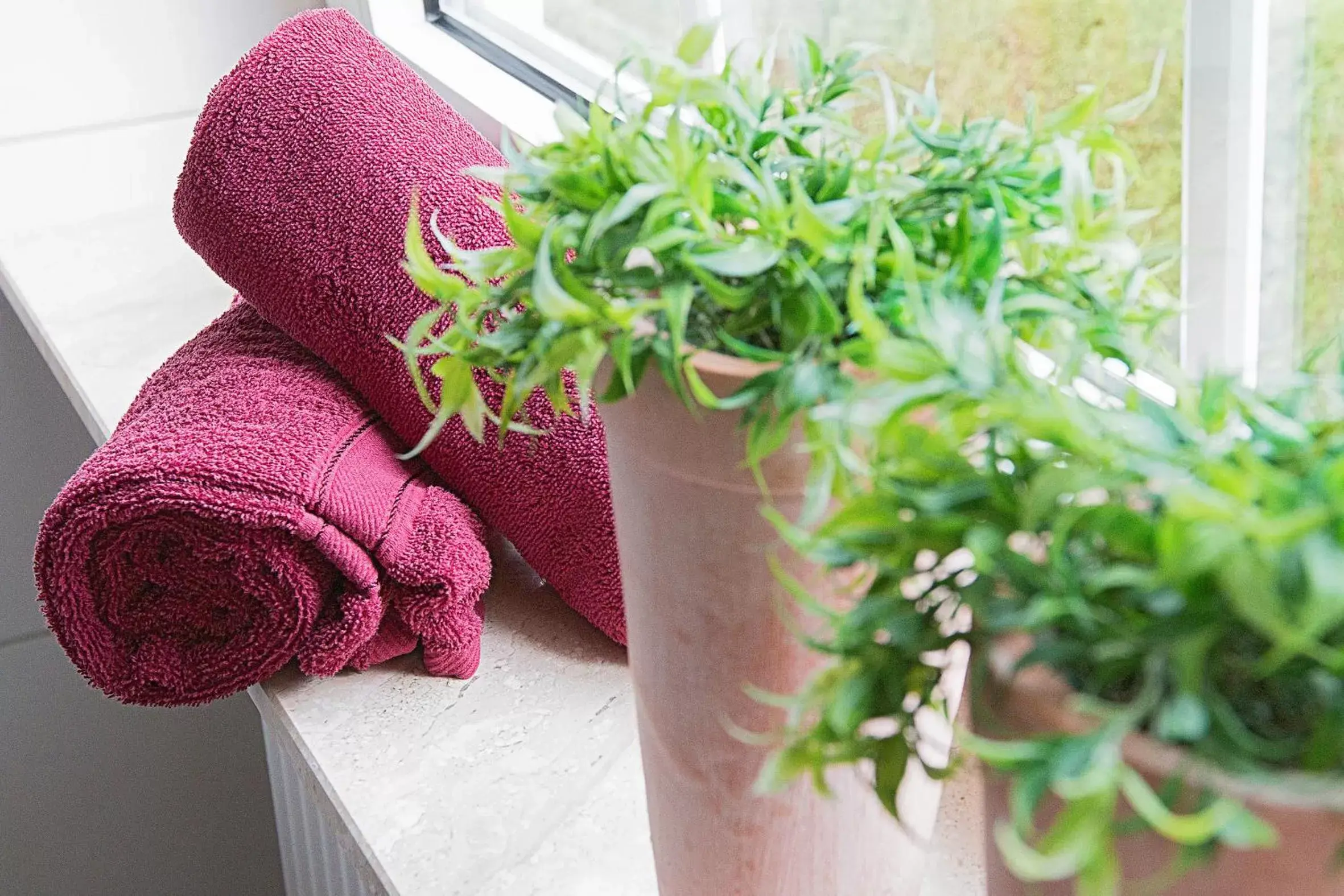 Single Room with Shower in Haus Anna an der Stadtmauer Single Room with Shower in Haus Anna an der Stadtmauer