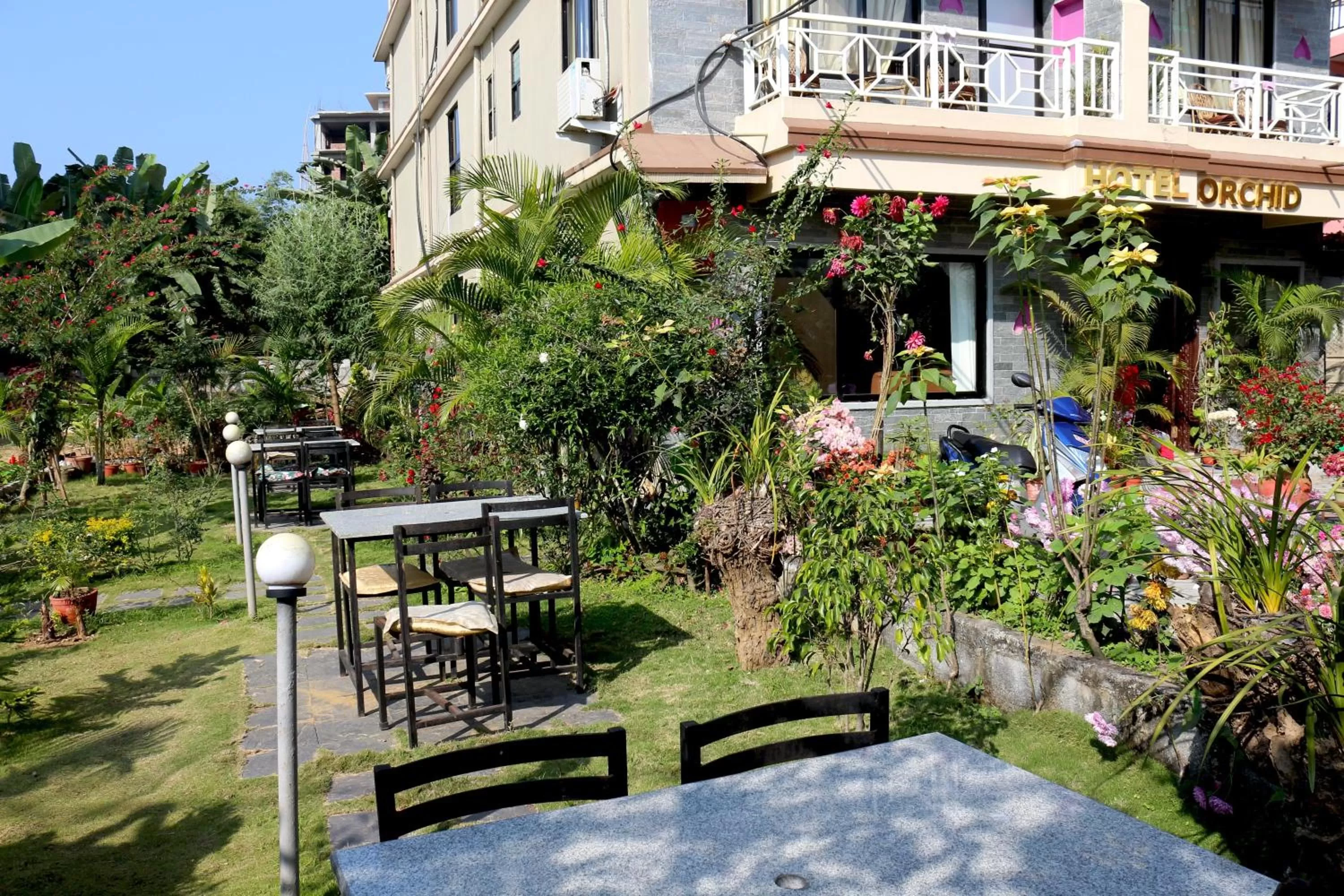 Garden in Hotel Orchid