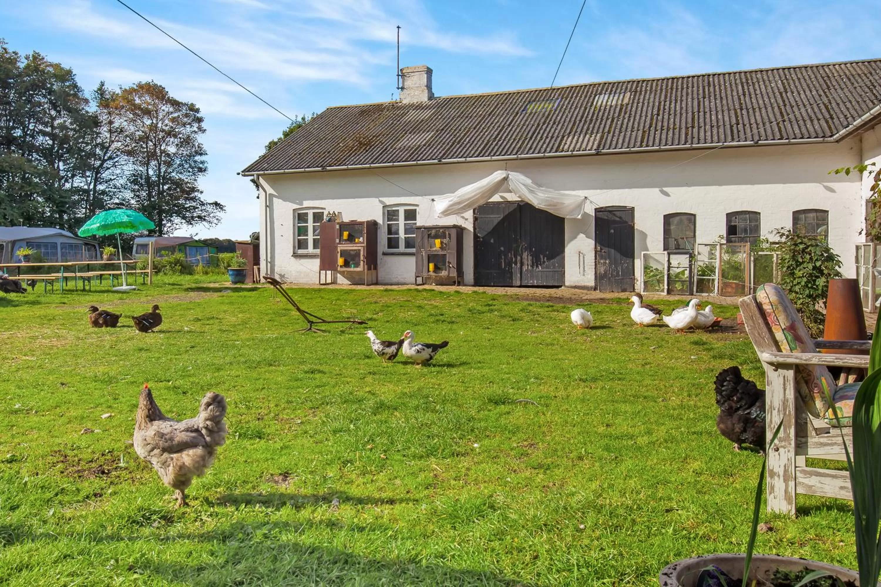 Property building in Skortskær Bondegårdsferie
