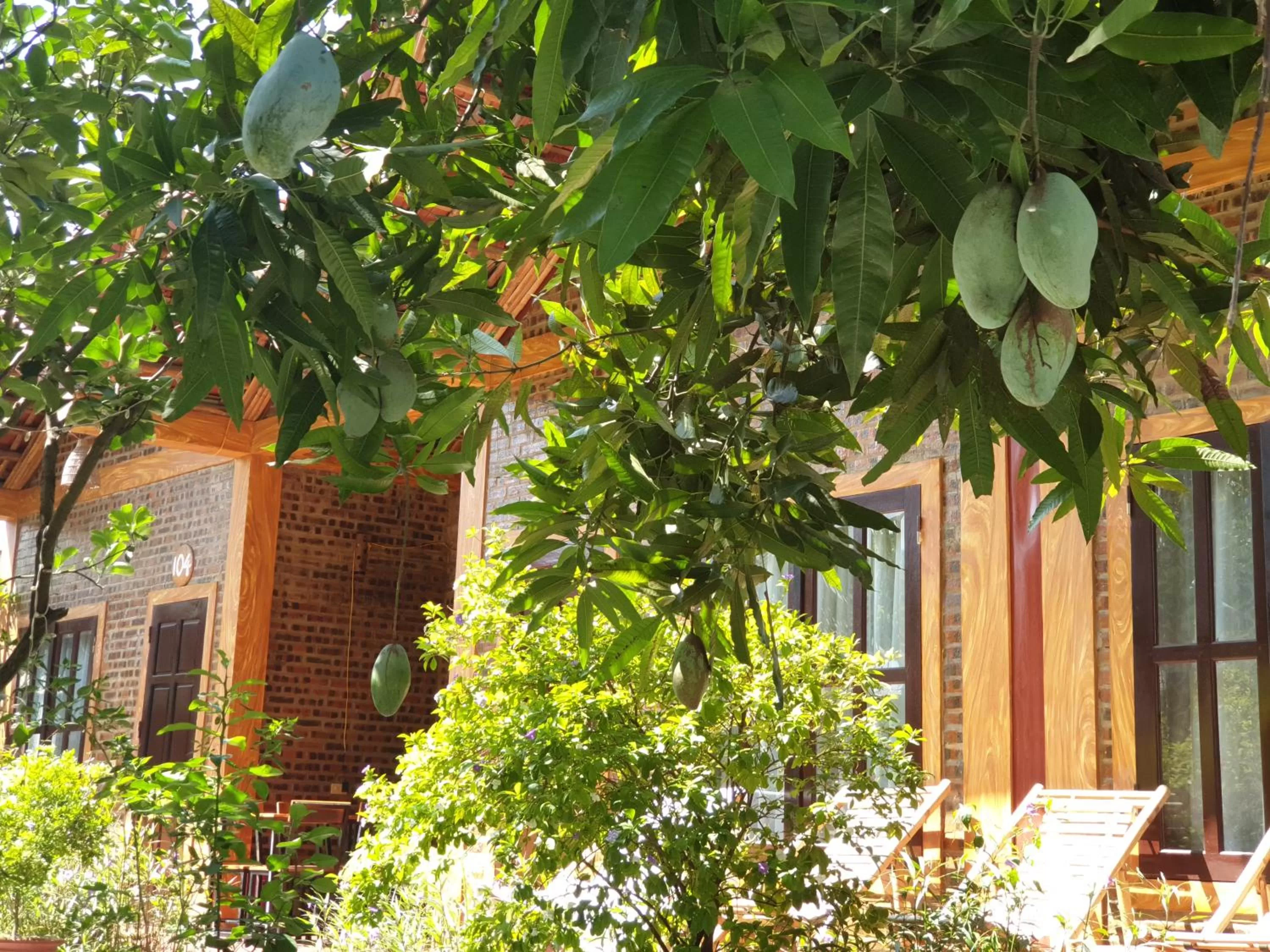 Garden view in Tam Coc Vinh Thinh Homestay