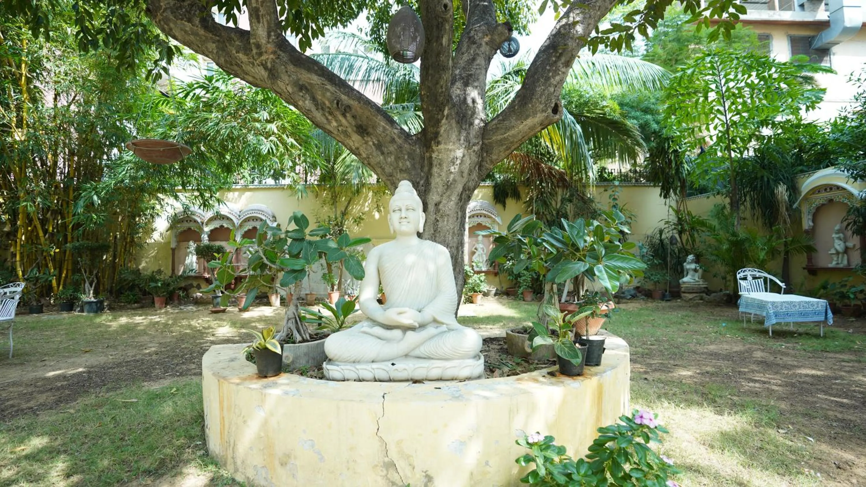 Garden in Anuraag Villa