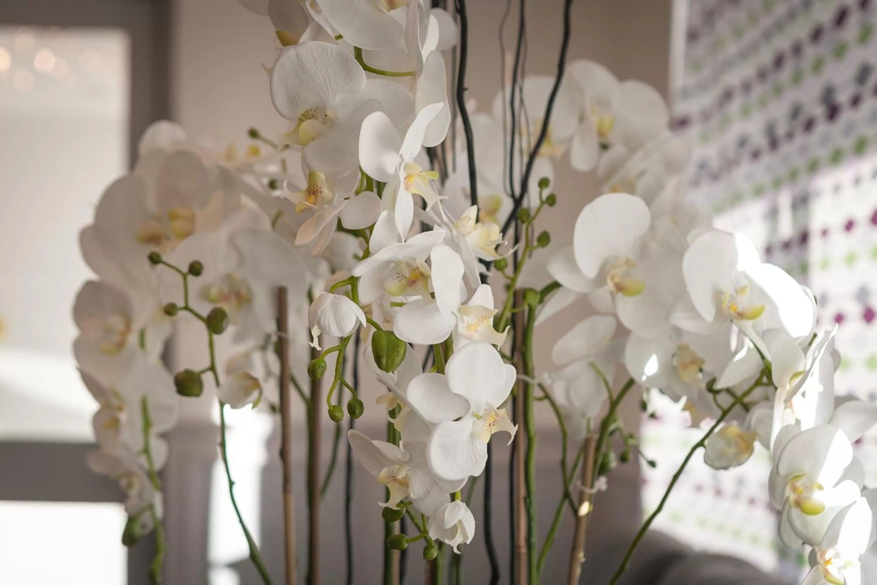 Decorative detail in Celtic International Hotel