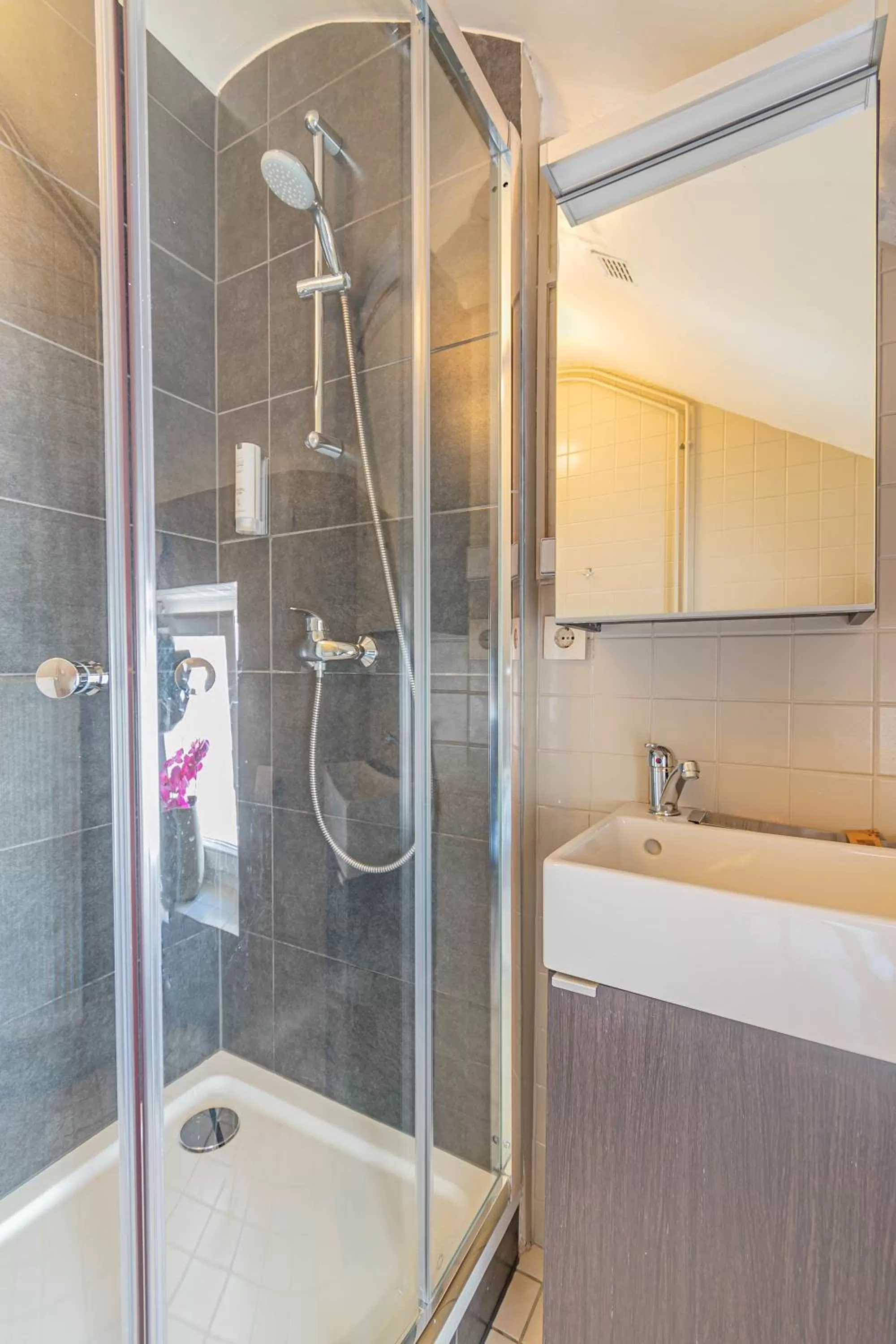 Shower, Bathroom in Hôtel Le Petit Poète