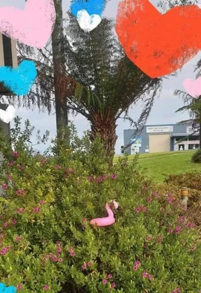 Garden in Orbost Country Man Motor Inn