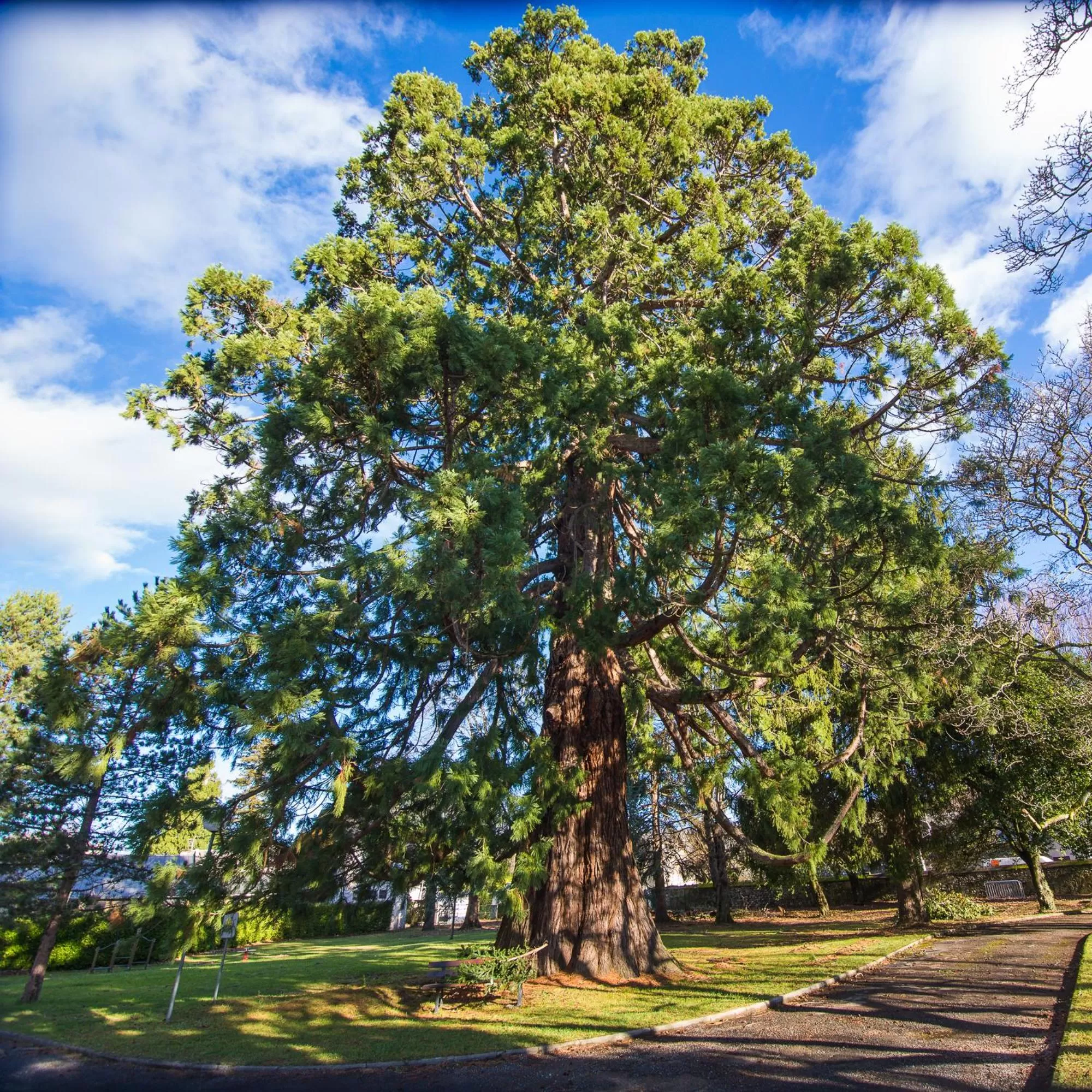 Garden in VILLA BONVOULOIR