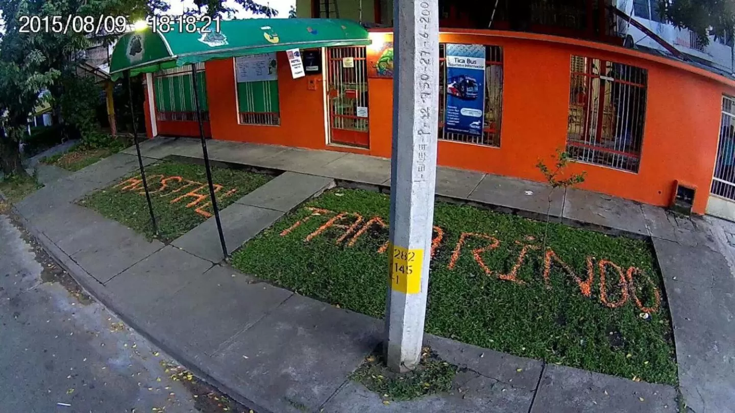 Bird's eye view in Tamarindo Hostel