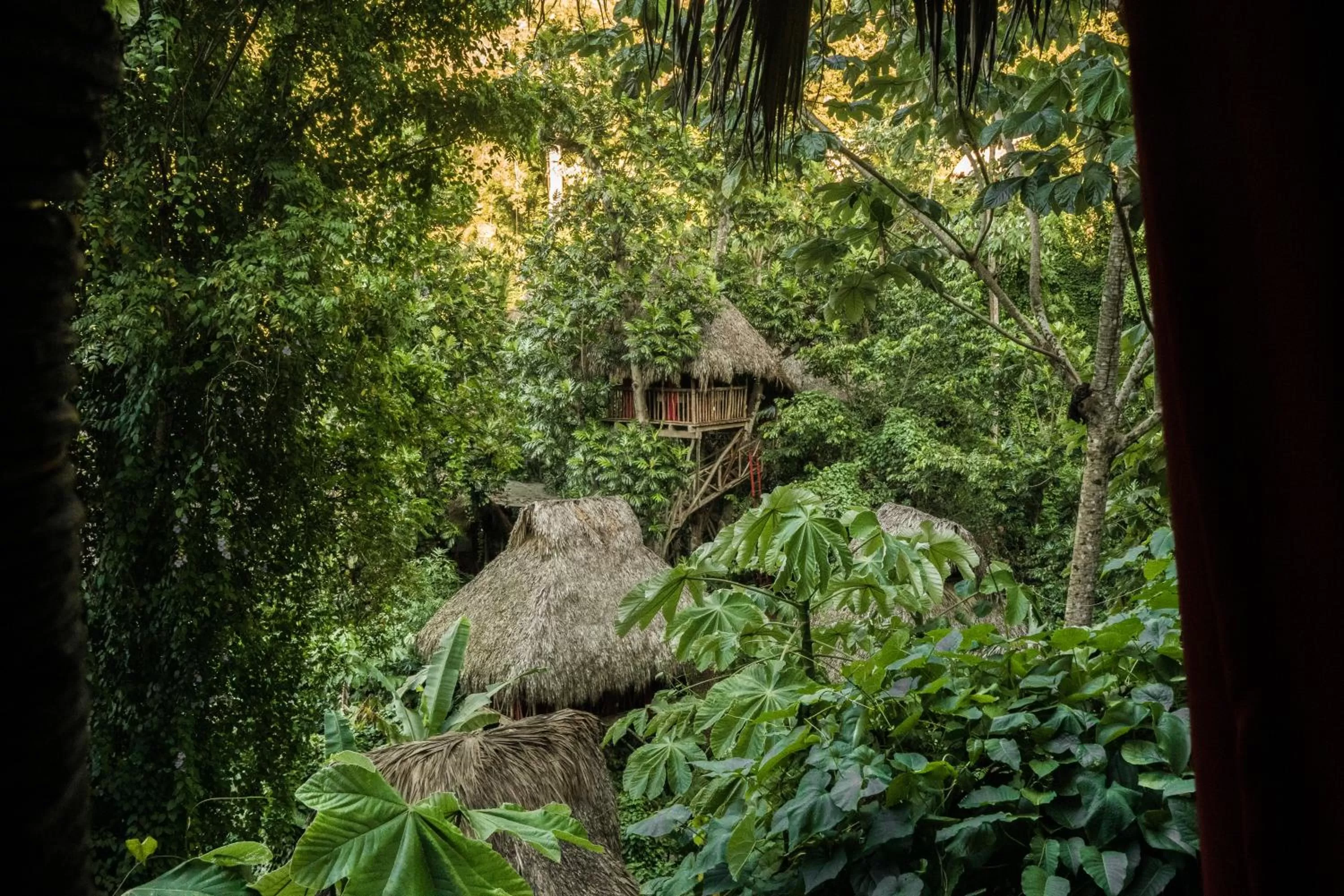 Natural landscape in Dominican Tree House Village