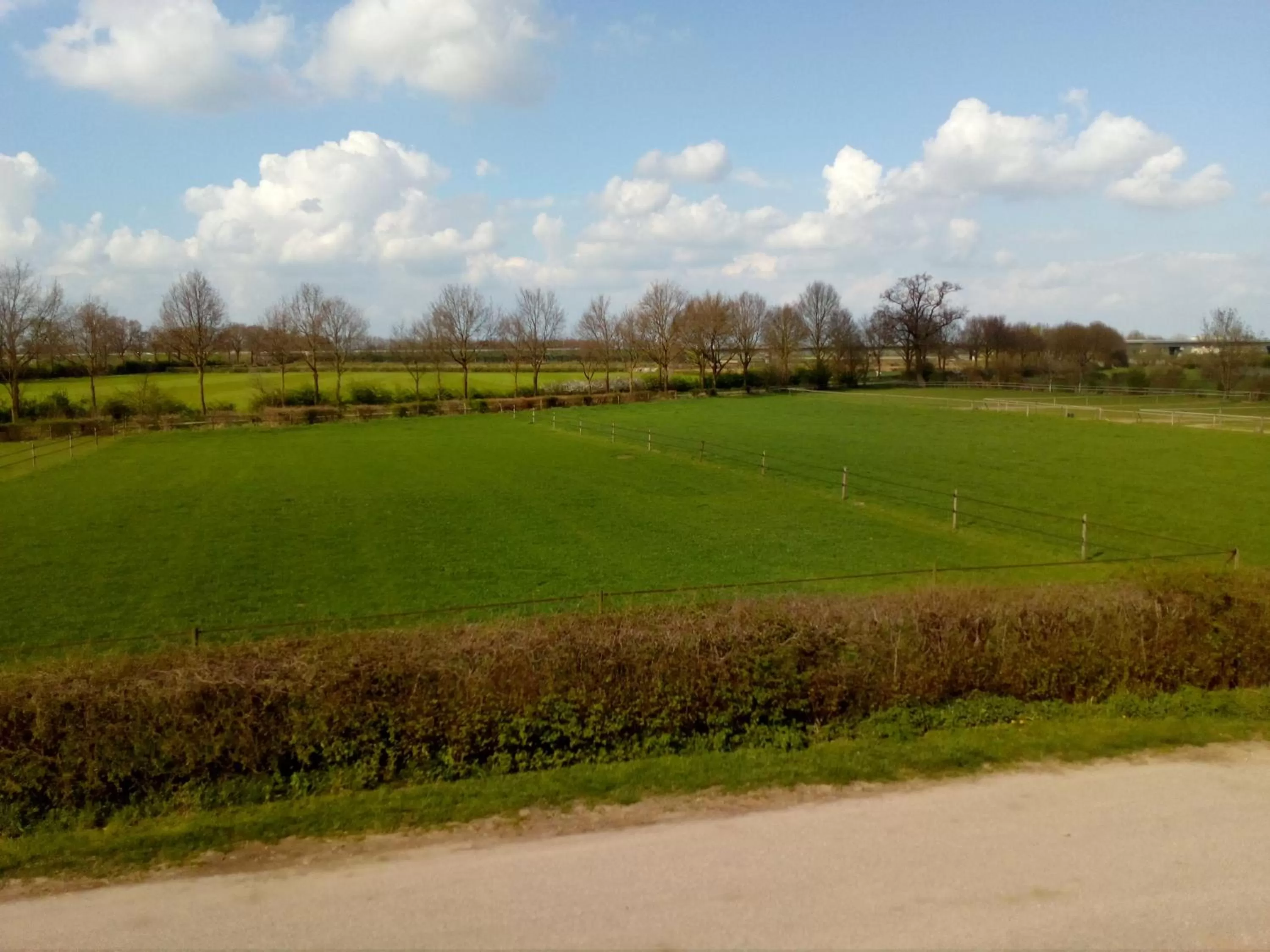 Natural landscape in Langs De Maas