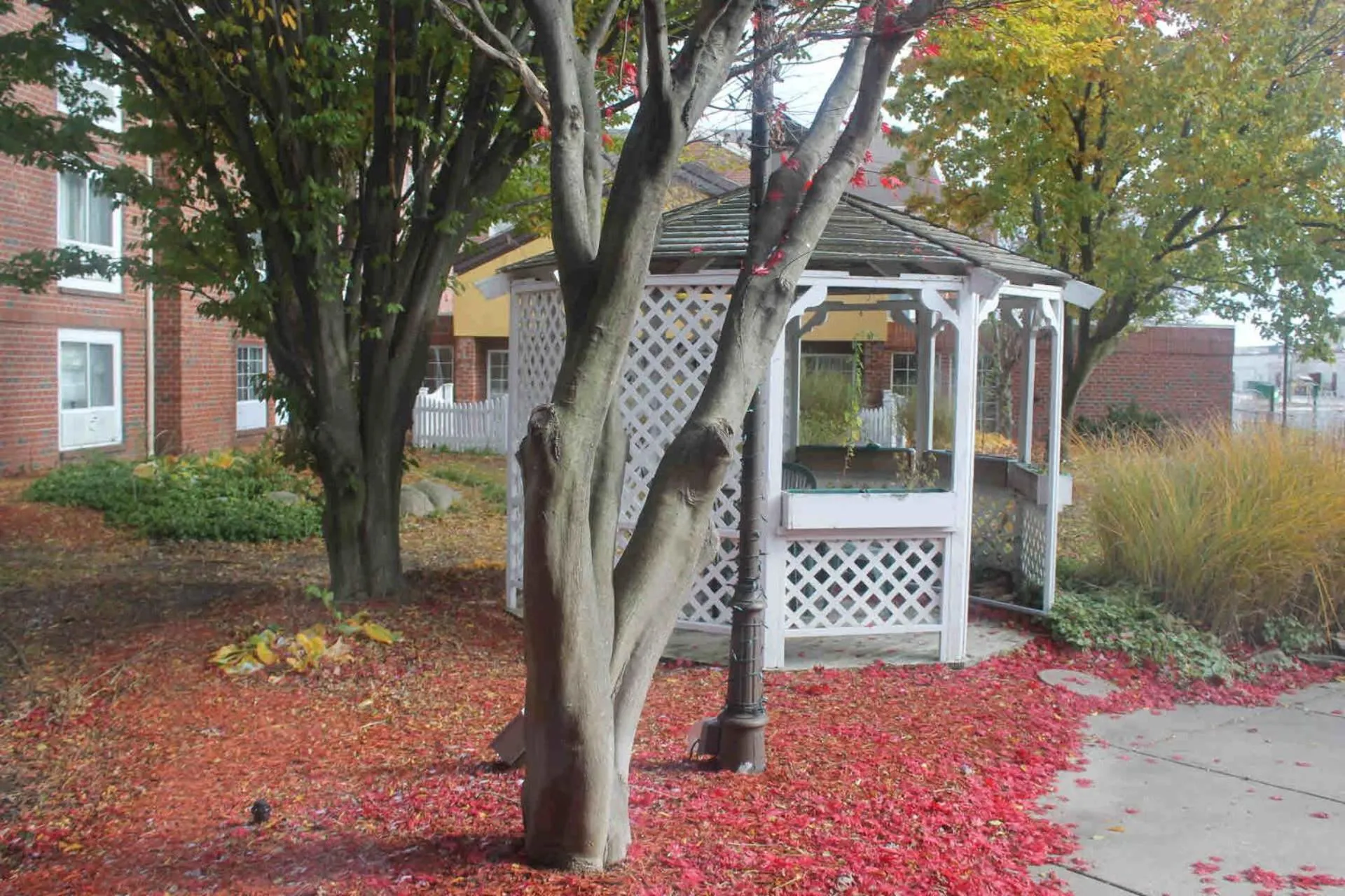 Day in Wyndham Garden Grand Rapids Airport