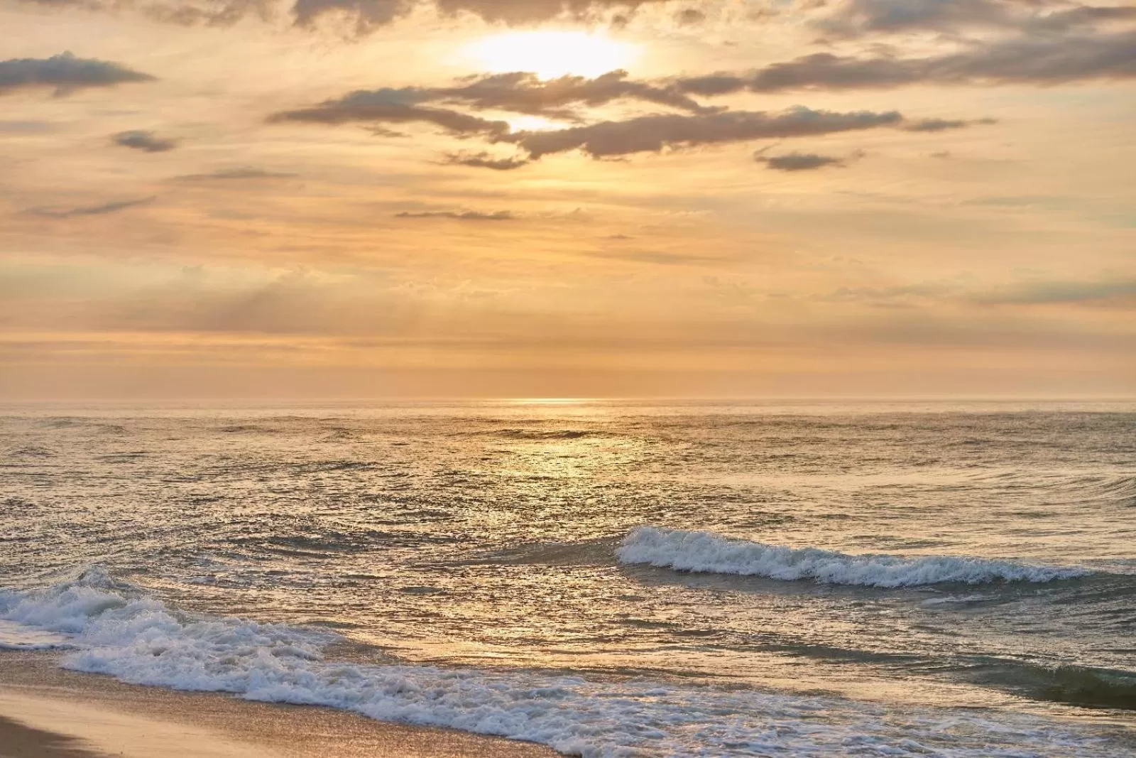Natural landscape in Drifting Sands Oceanfront Hotel