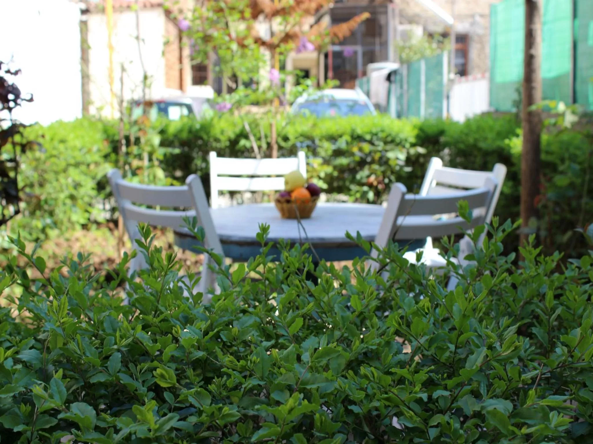 Garden in Centrum Hotel
