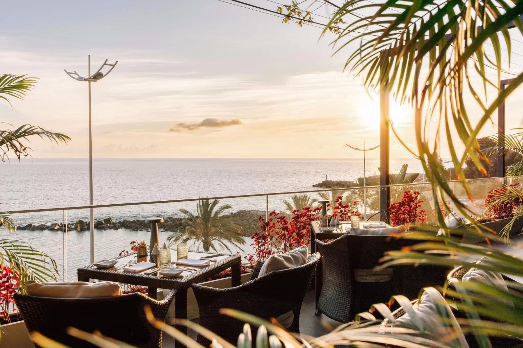 Restaurant/places to eat in Saccharum - Resort and Spa - Savoy Signature