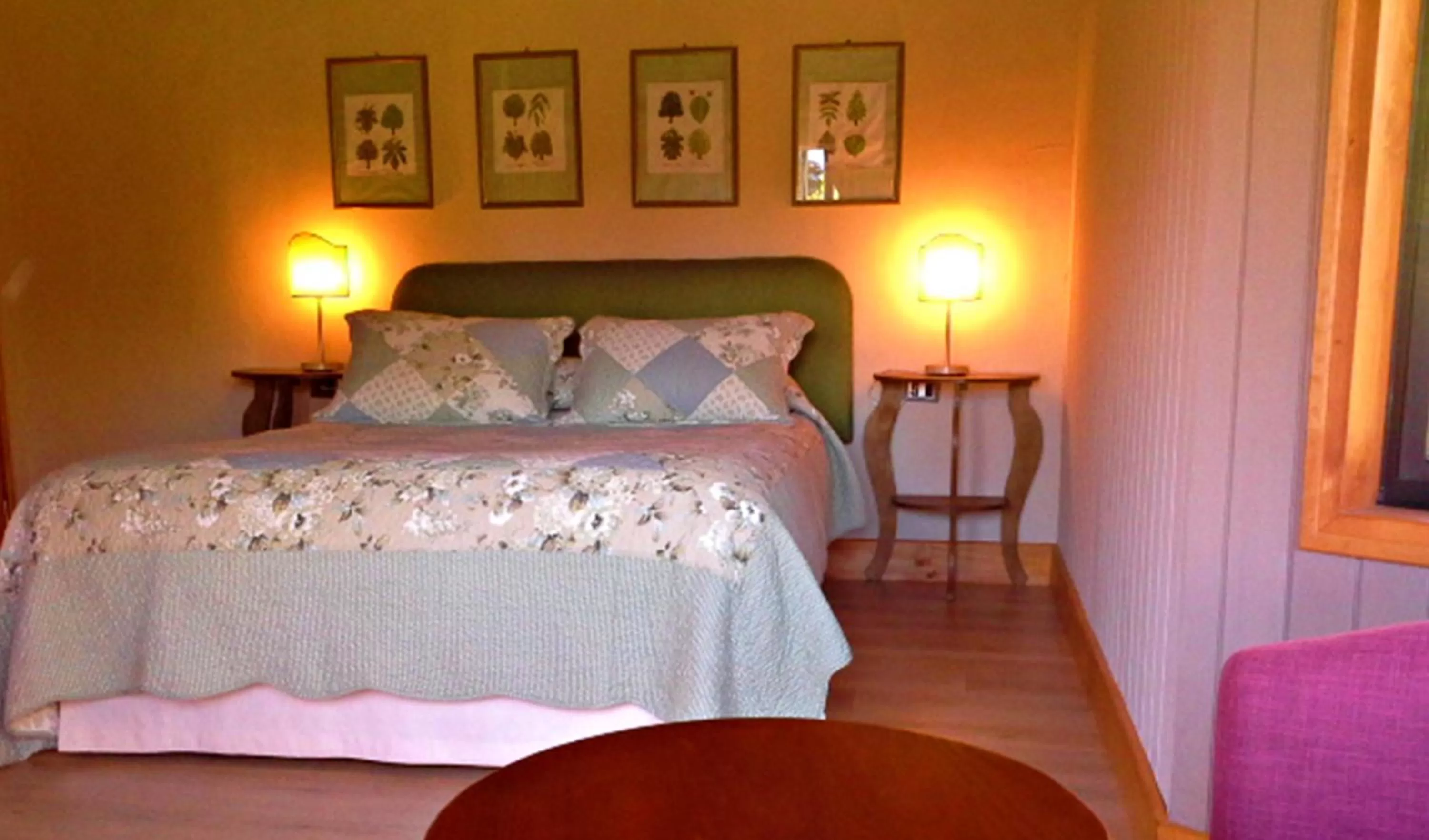 Bed in Hotel Salto del Carileufu