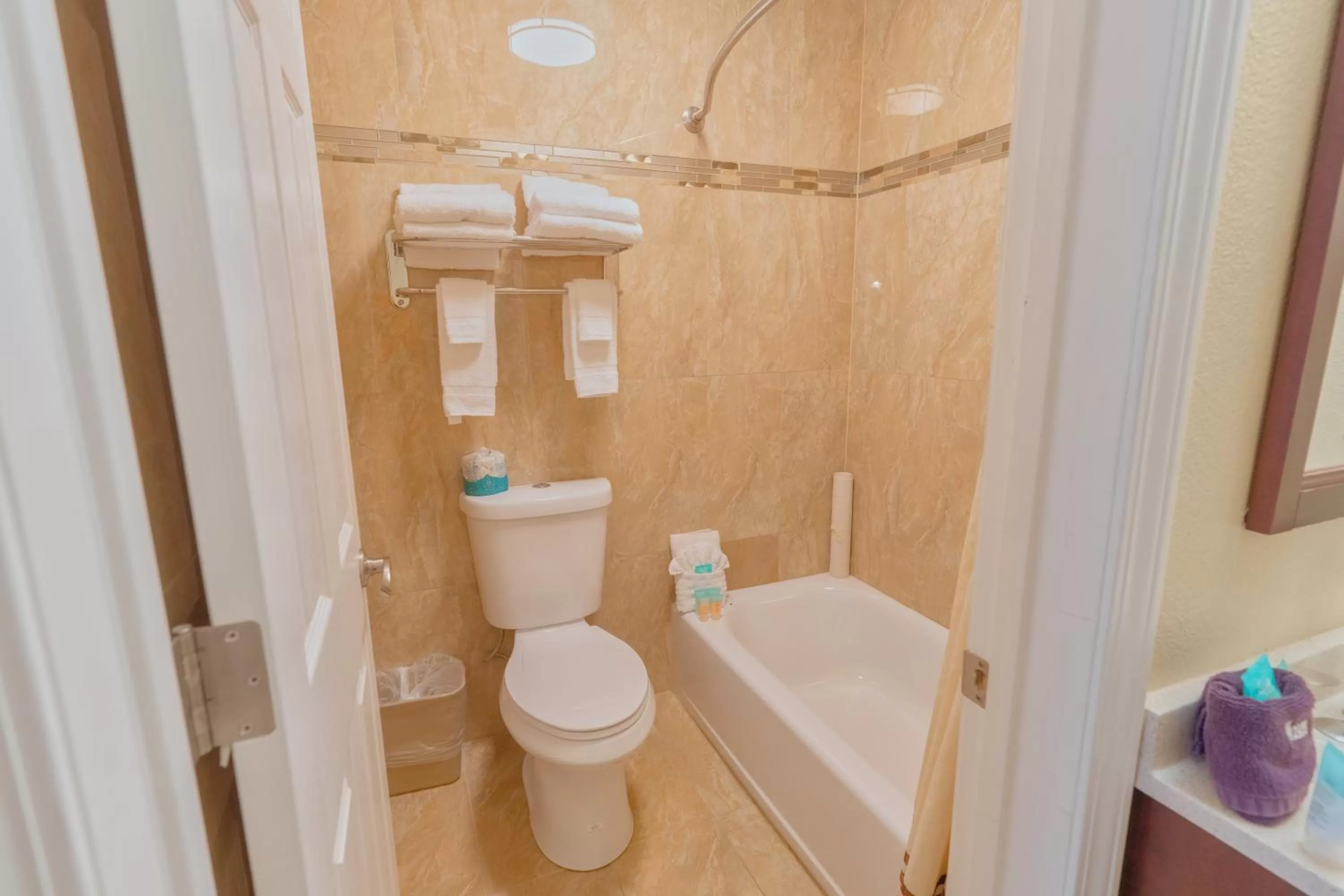 Bathroom in The Monarch Inn