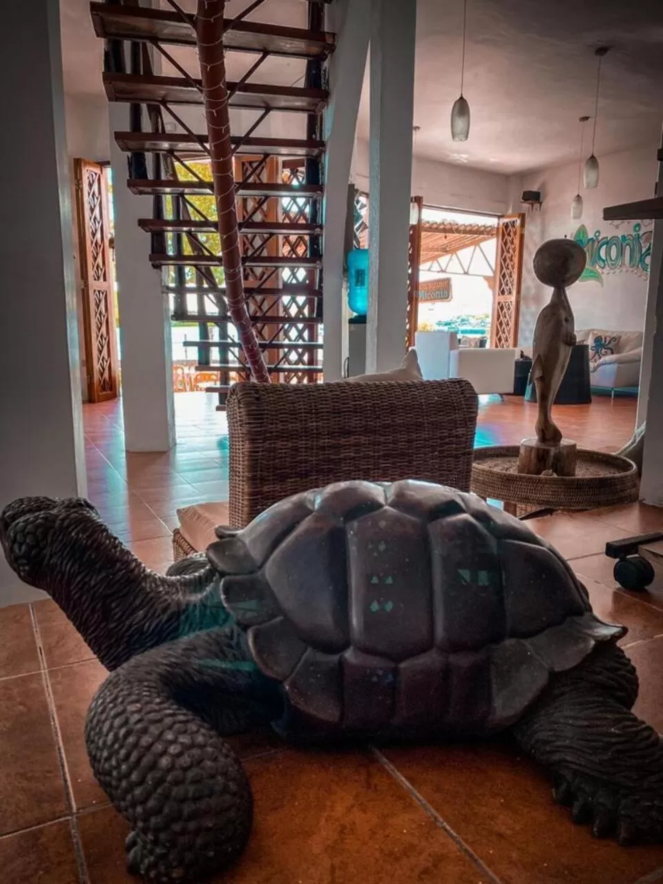 Lobby or reception, Other Animals in Hotel Miconia