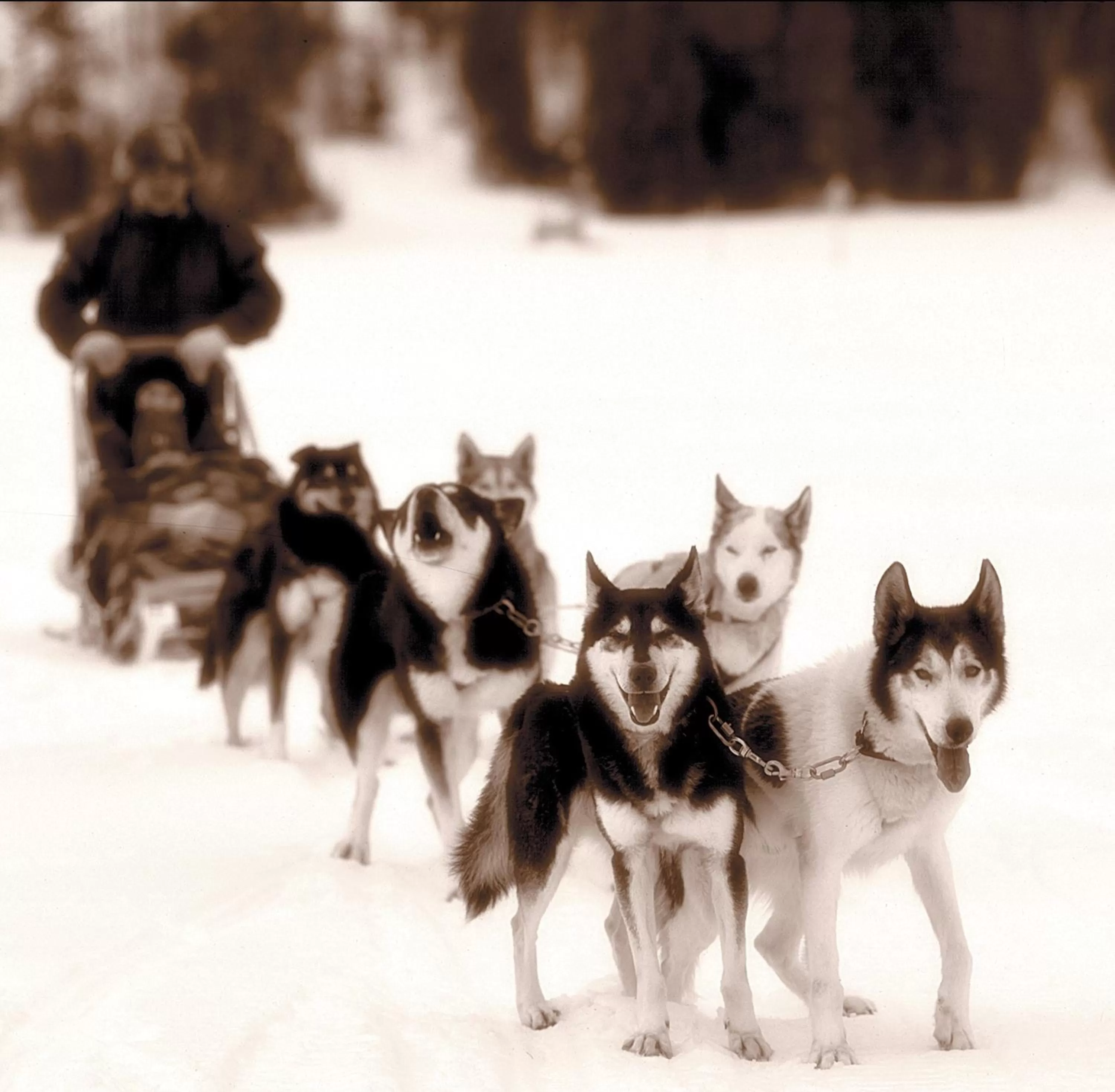 Winter in Auberge du Lac-à-l'Eau-Claire