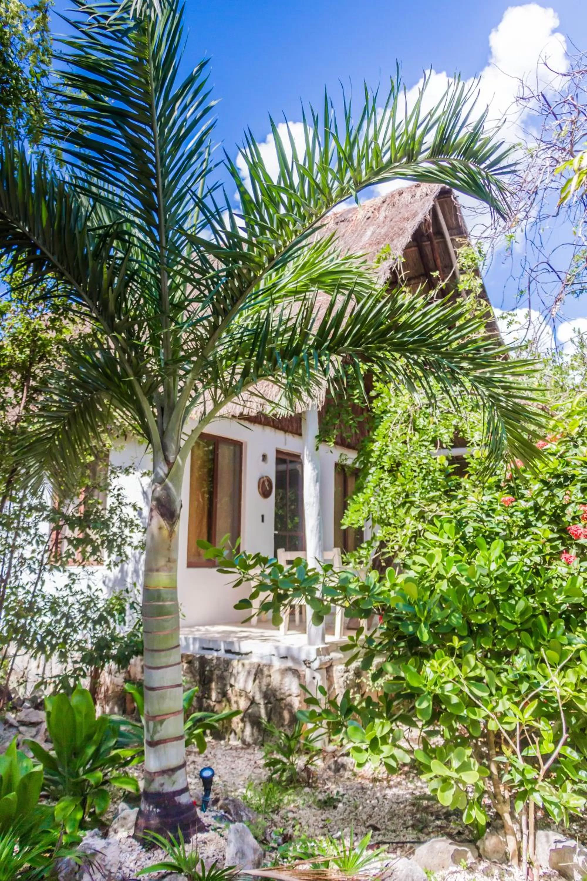 Garden in Roc Luxe Tulum