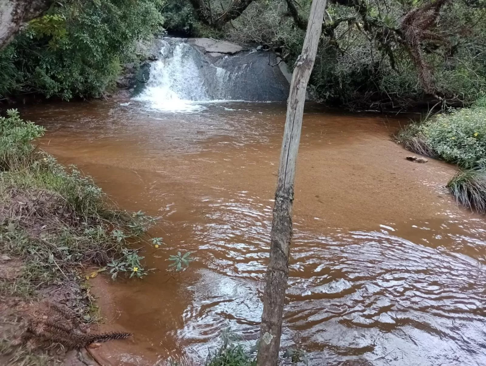 Diving in MD Luar da Montanha