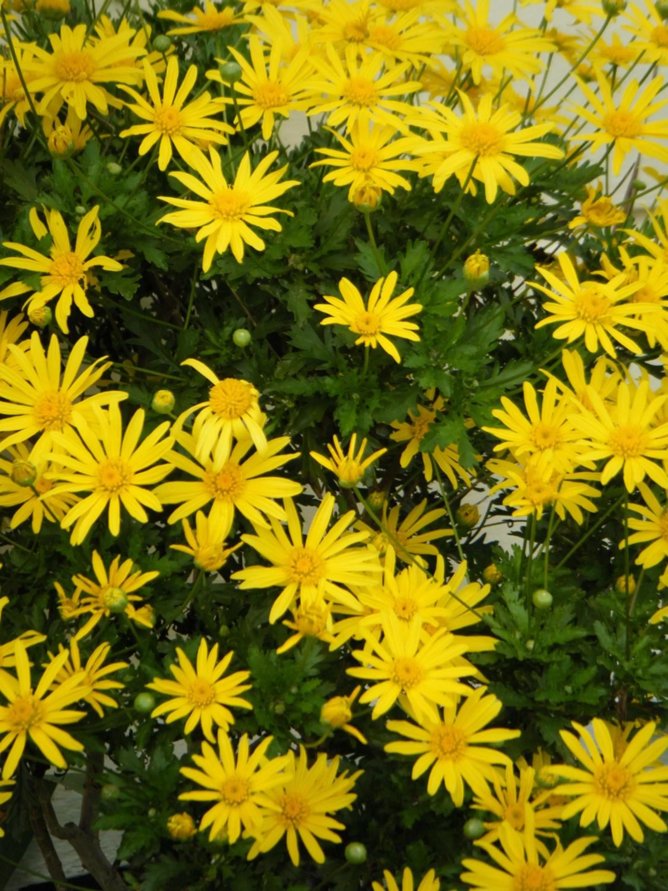 Other in Collingwood Manor