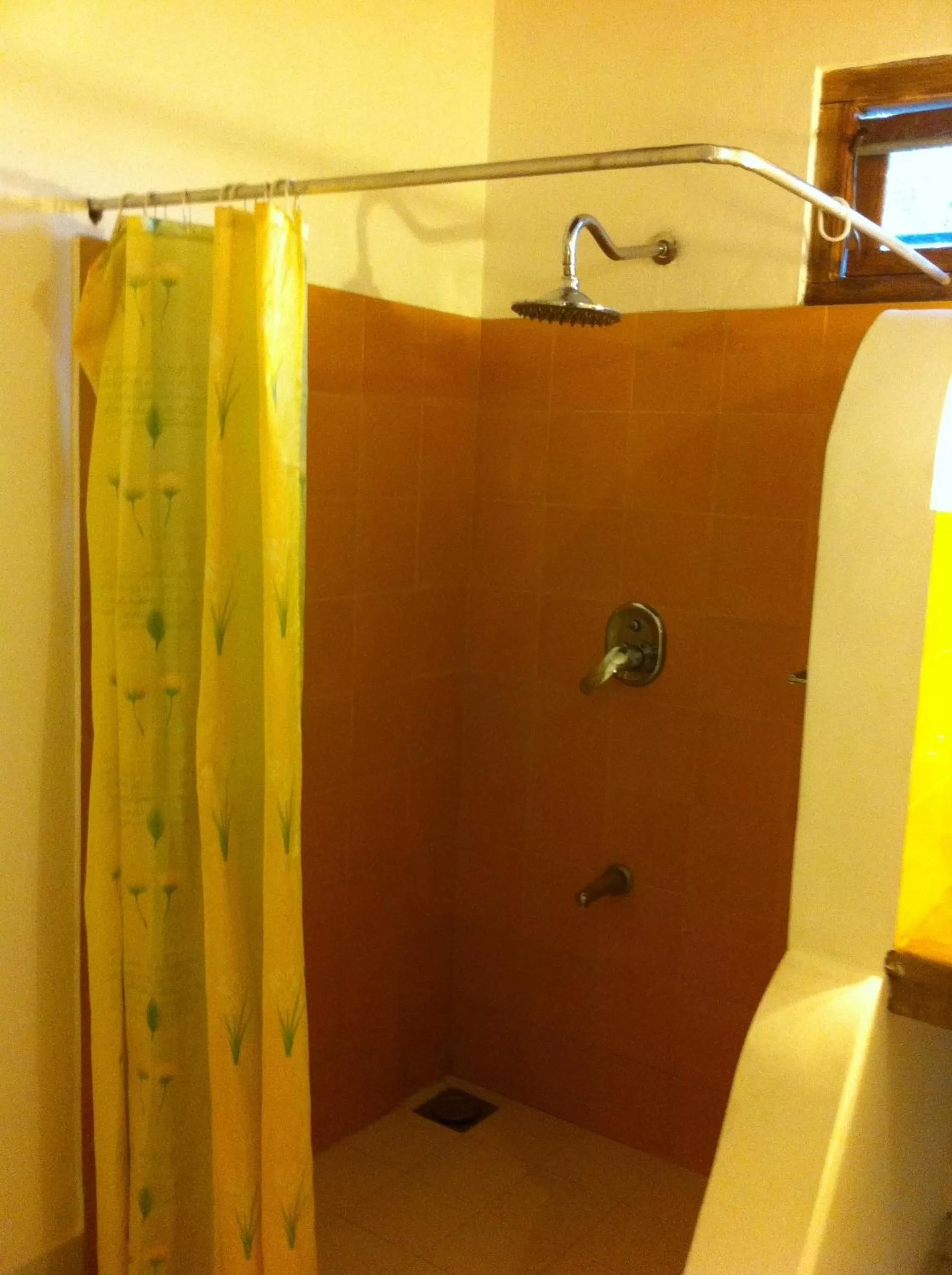 Shower, Bathroom in Little Paradise Tourist Guest House and Holiday Home