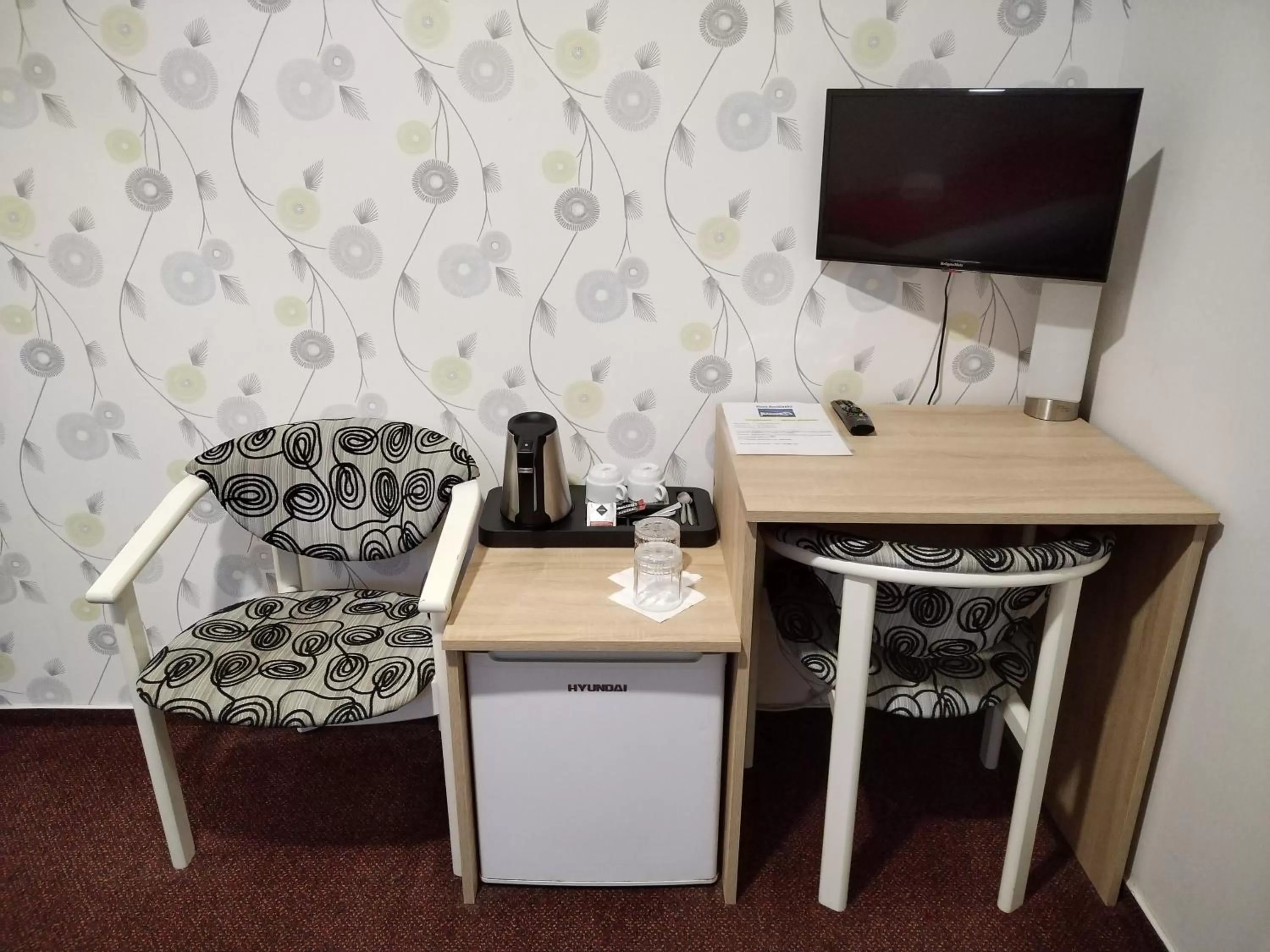 TV and multimedia in Hotel Boršičanka