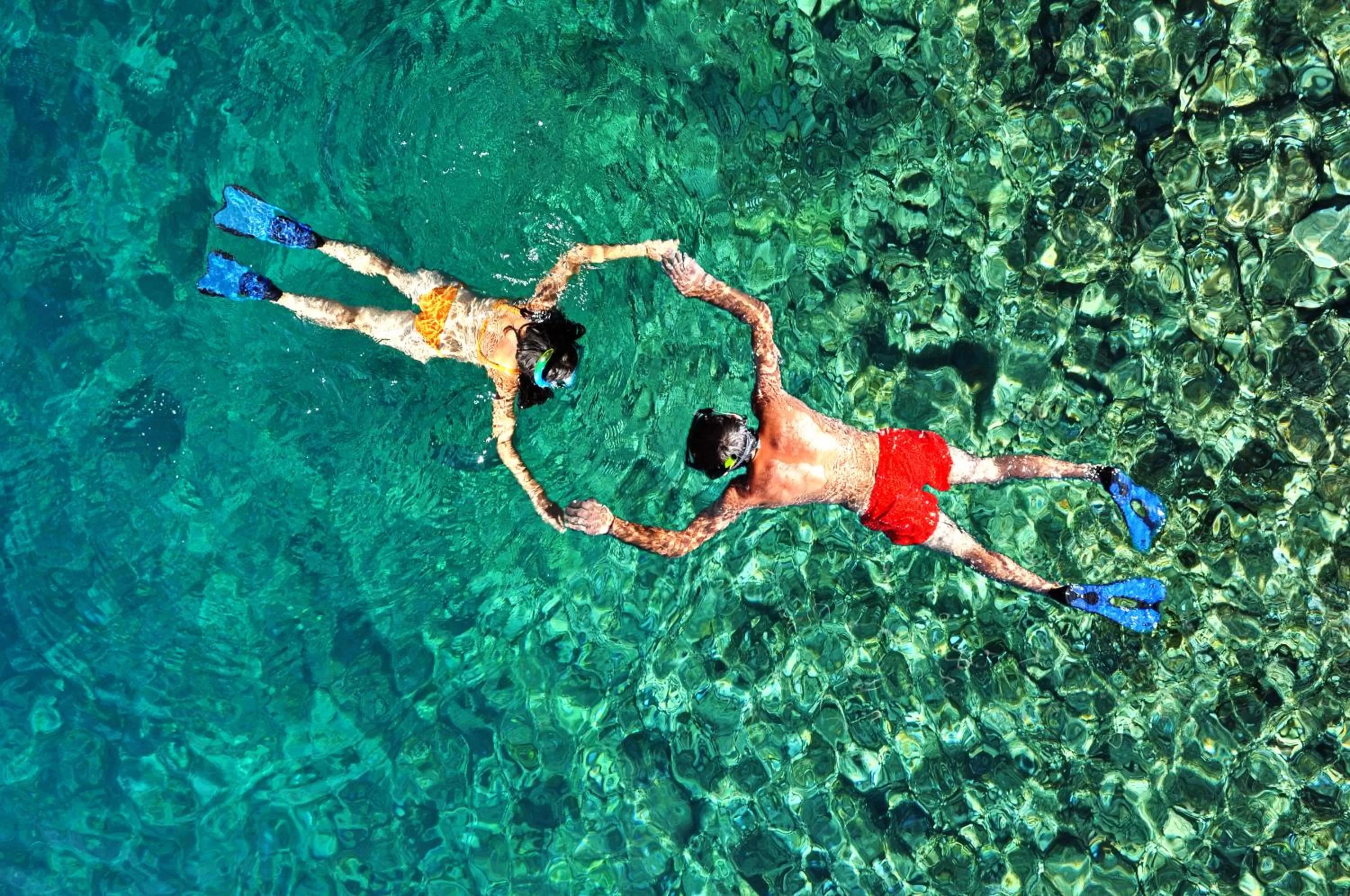 Snorkeling, Other Activities in Pelican Reef Villas Resort