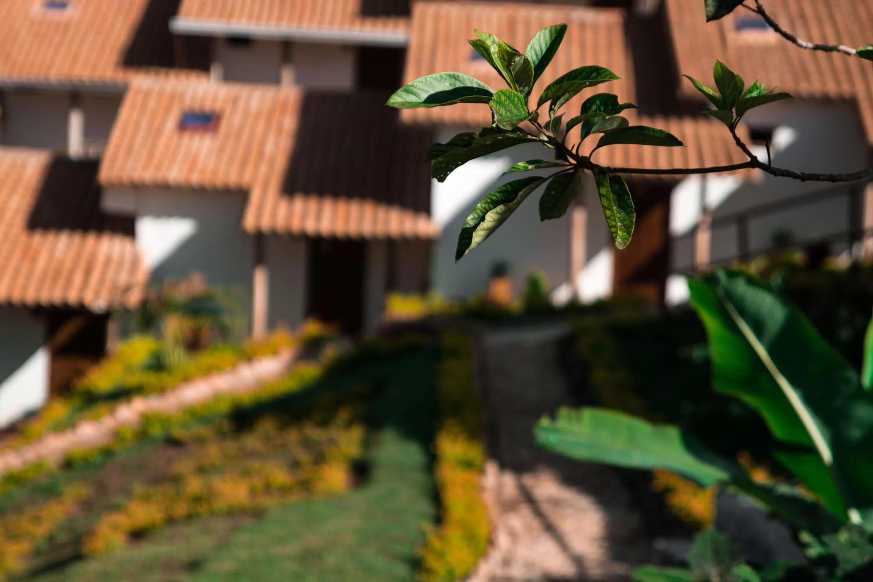 Garden, Property Building in Terrazas de Guadalupe