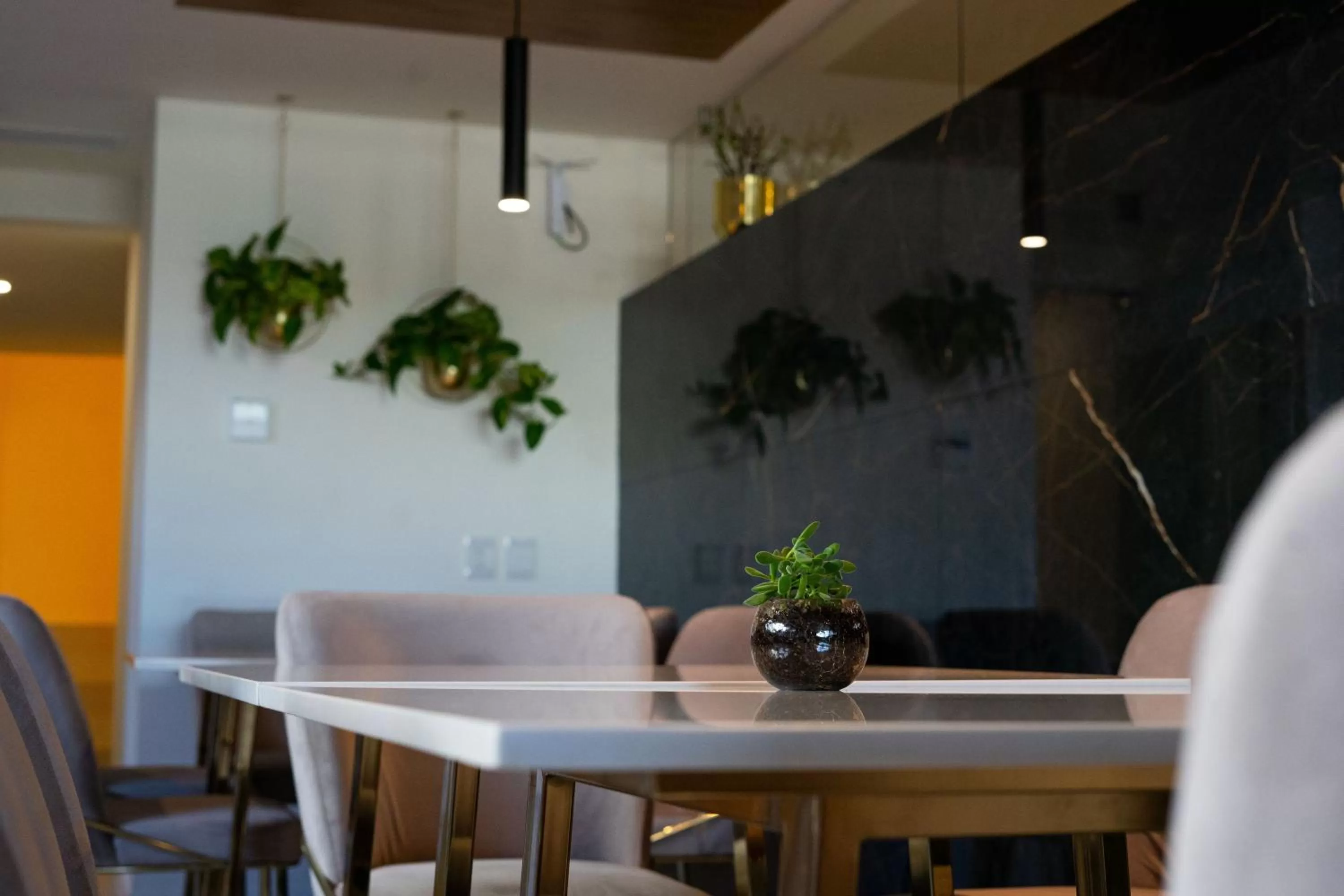 Restaurant/places to eat in Casa Cuarzo Hotel Boutique