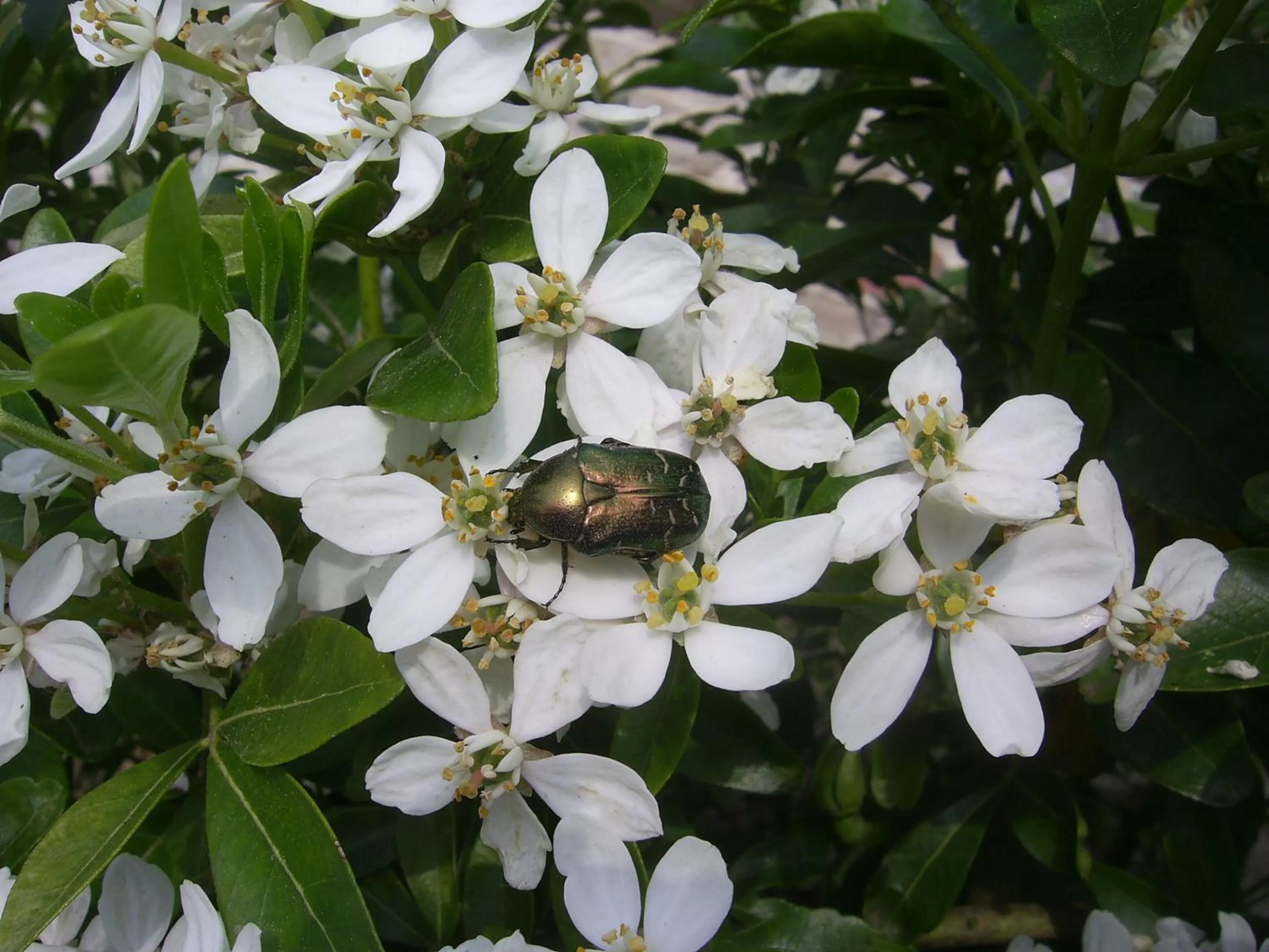Property building in Les Rêves de Flamboin