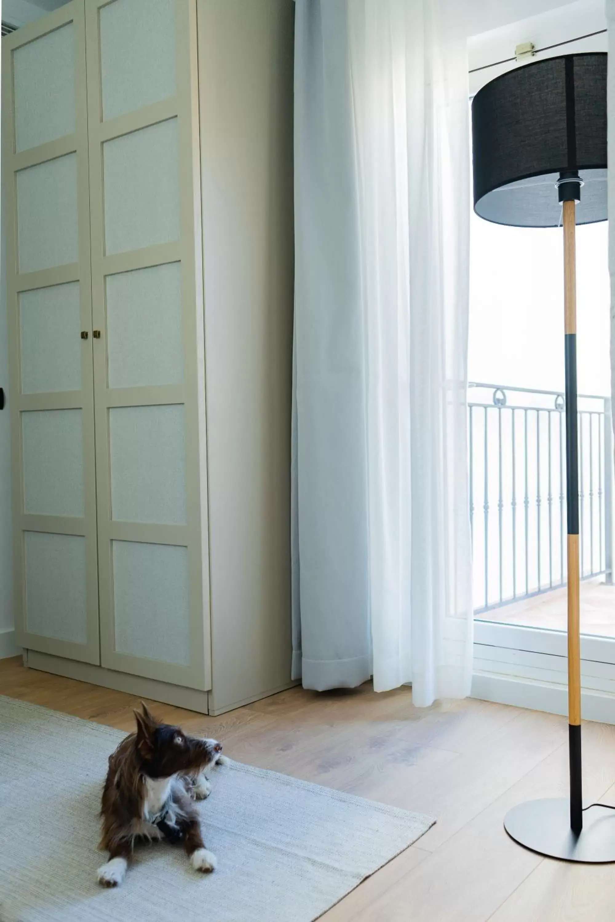 Junior Suite in Hotel San Miguel Menorca Junior Suite in Hotel San Miguel Menorca