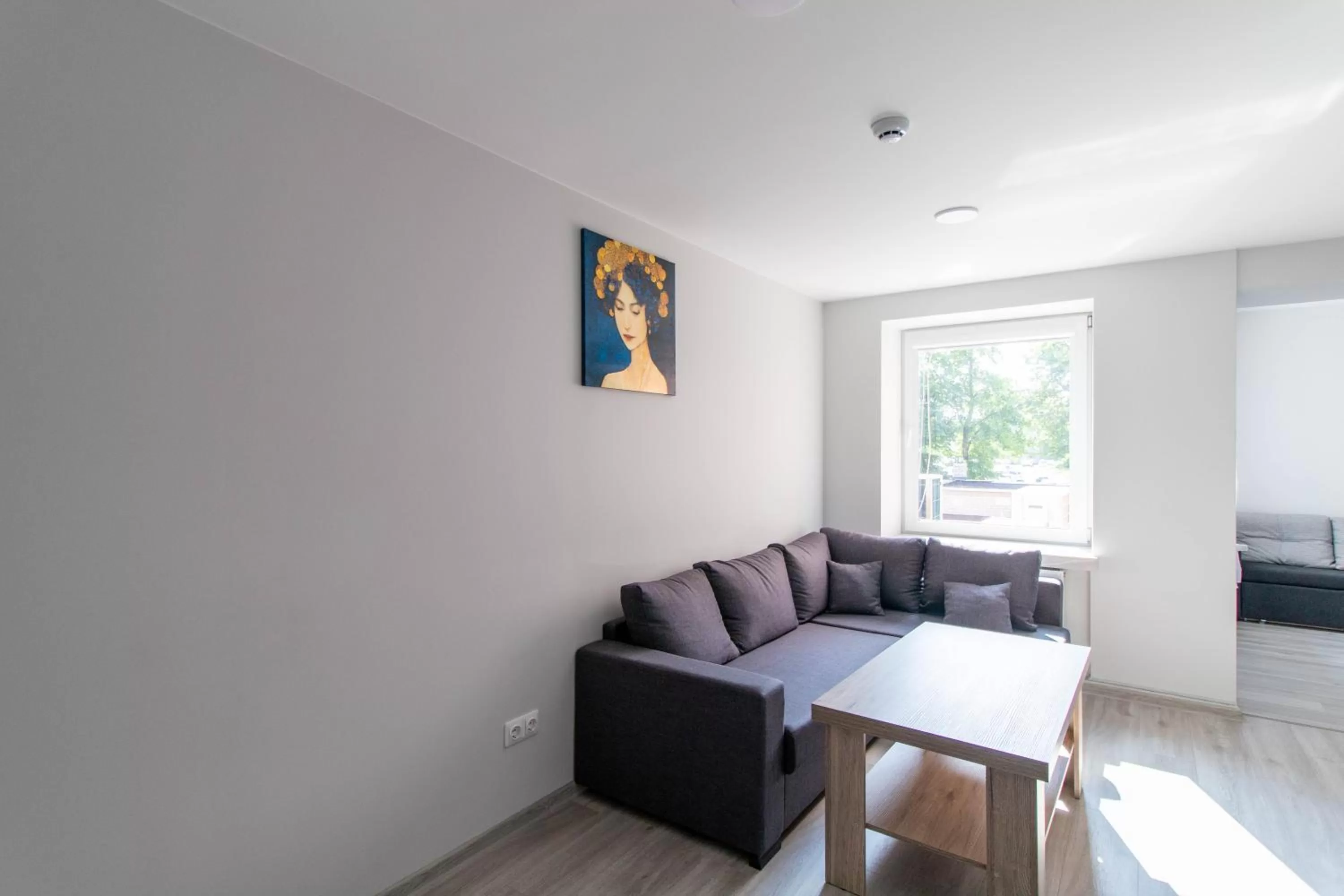 Seating Area in Dzukija Hotel