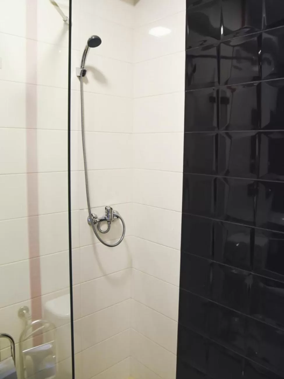 Shower, Bathroom in Willa Szczepaniakówka