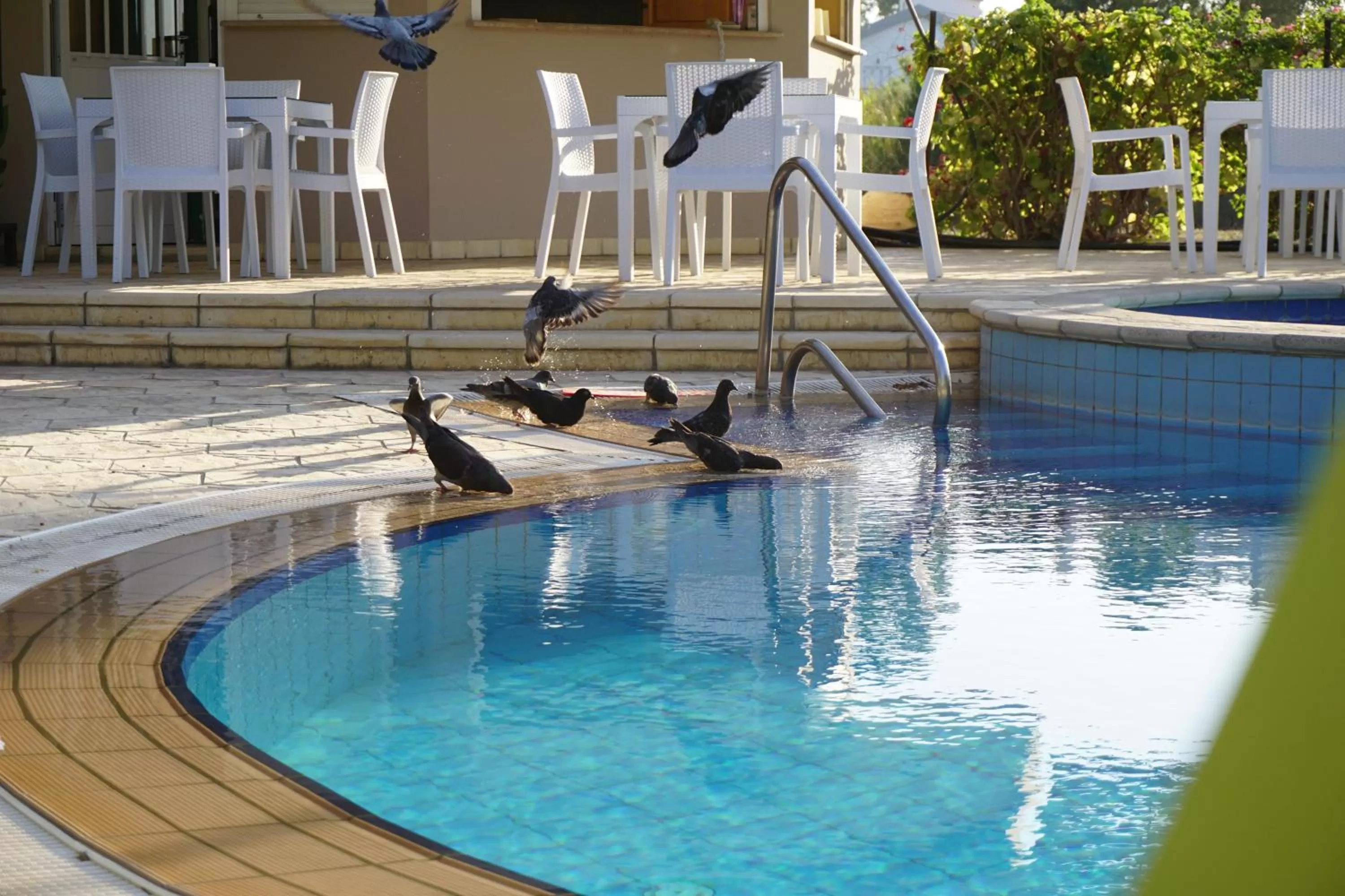 Swimming pool in High Life