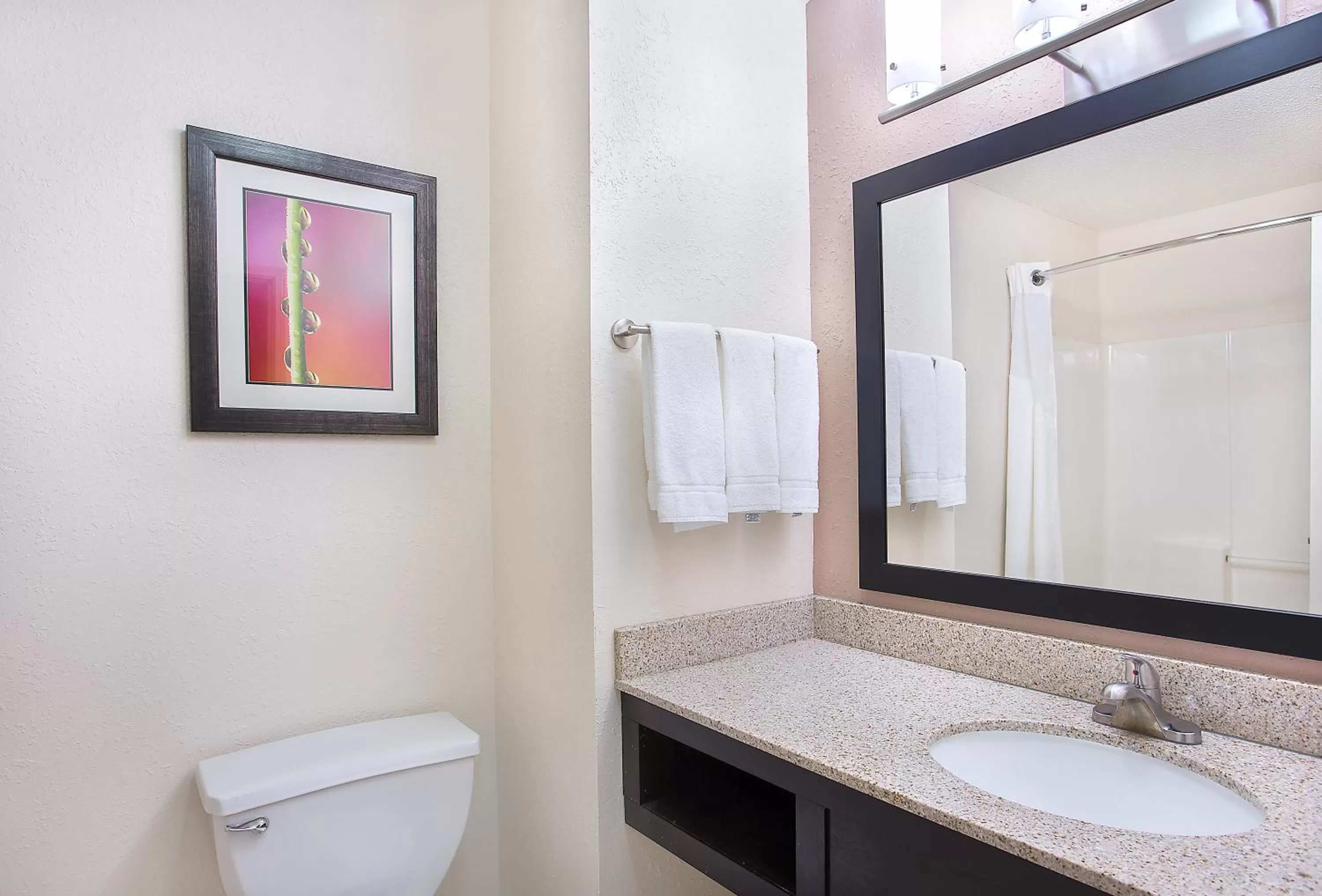 Bathroom in Holiday Inn Express & Suites Murphy by IHG