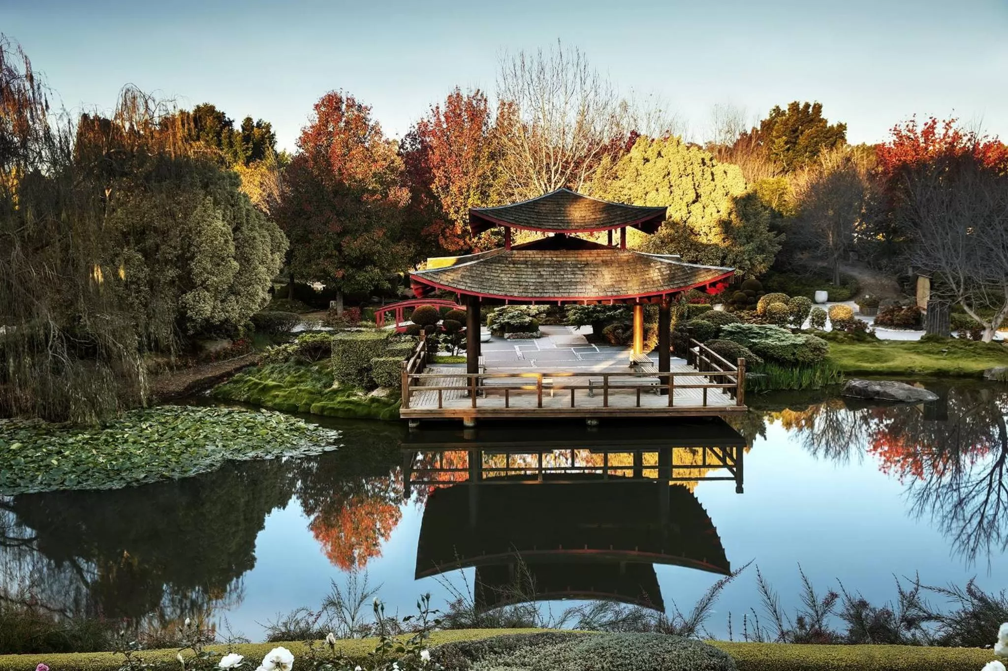 Activities in Hunter Valley Motel