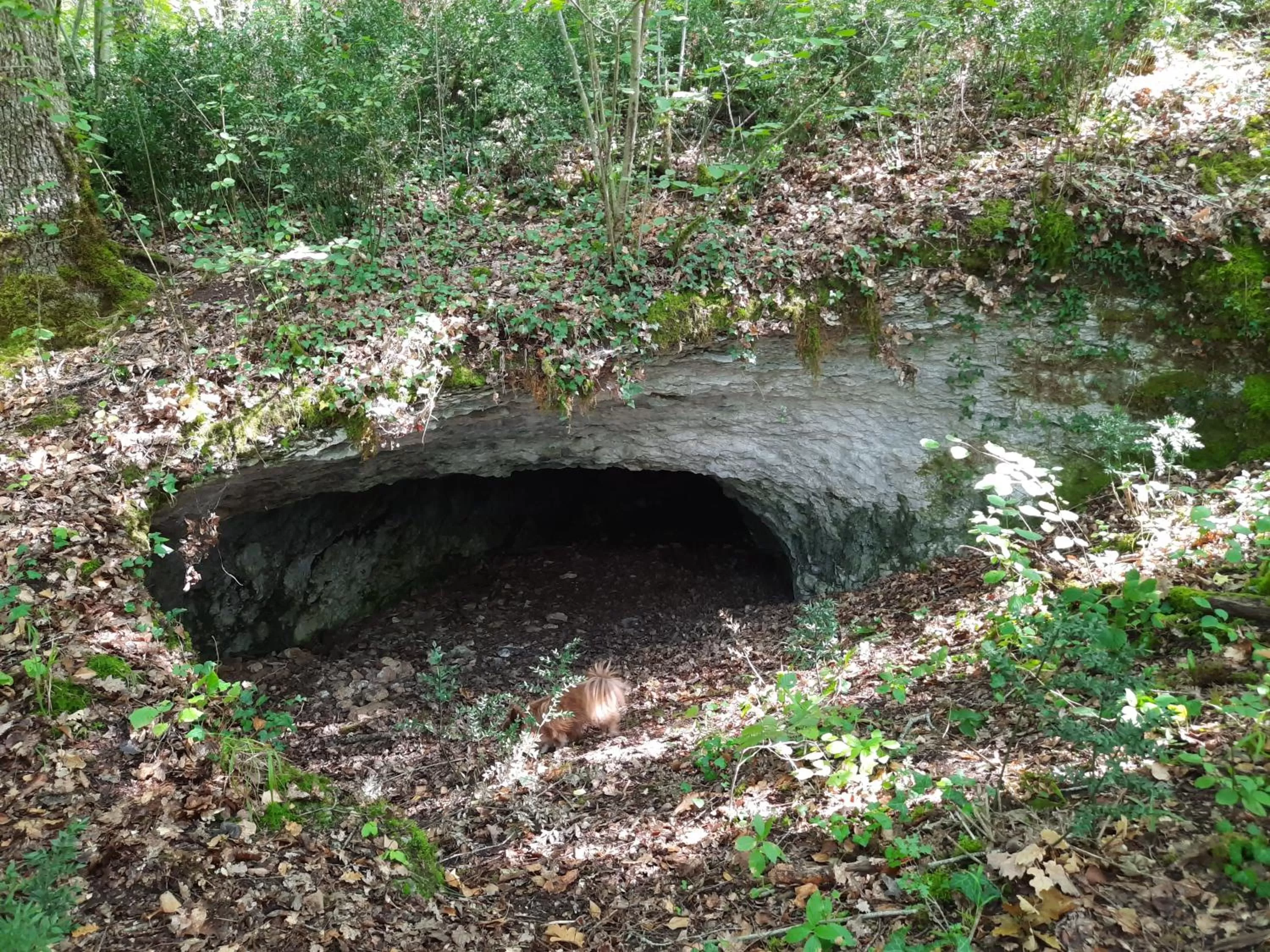 Garden in Ferme des Petites Oreilles 4 étoiles