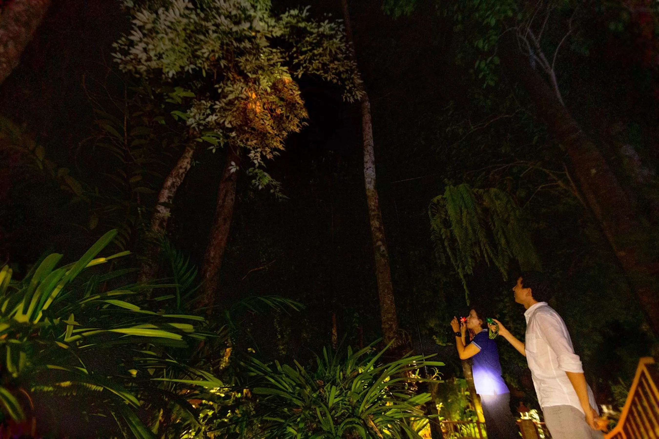 Night in Khaolak Merlin Resort