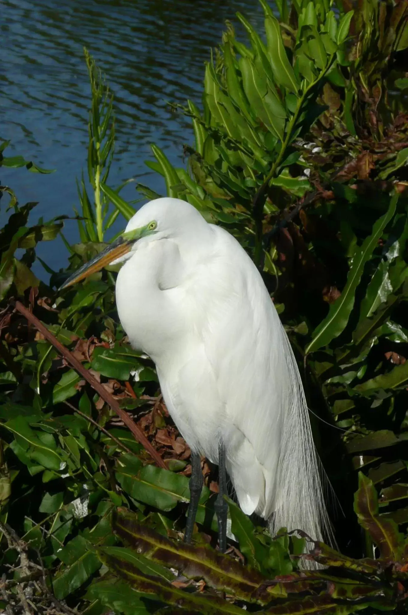 Standard Queen Room in Rae’s Place Standard Queen Room in Rae’s Place